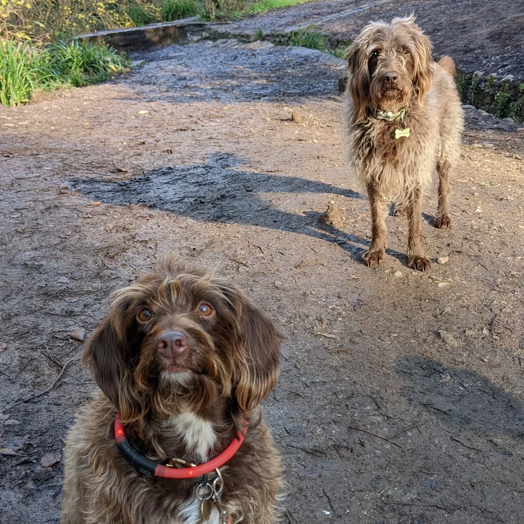 Our mother said we could be sister and brother