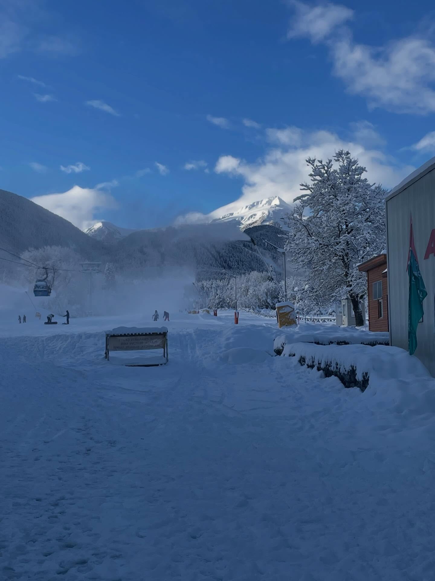 This week's office.
Not too shabby.