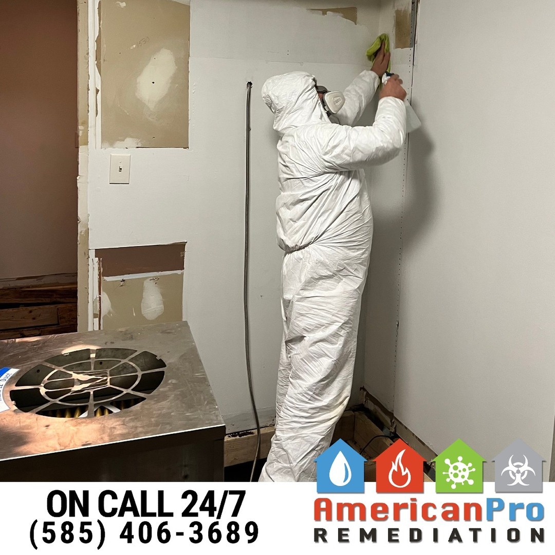 🛠️💨 Sanitation is key after mold remediation!
Mold isn’t just an eyesore; it can leave behind harmful spores that compromise your health and property. That’s why at American Pro Remediation, we go the extra mile with thorough mold sanitation:
✔️ Deep Surface Cleaning: Removing any lingering spores from walls, floors, and more.
✔️ Air Scrubbing & Purification: Ensuring your indoor air is fresh and allergen-free.
✔️ Preventive Treatments: Protecting your space from future mold growth.
Your safety and peace of mind are our top priorities. Let us help you reclaim a clean, mold-free environment! 🏡🌟
📞 Contact us today to schedule your mold assessment and sanitation.
#MoldSanitation #SafeAndClean #MoldRemediationExperts #AirQualityMatters #DisasterRecovery #PreventMold #IICRC #AmericanProRemediation