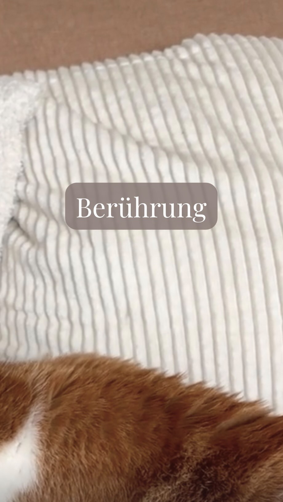 Sanfte Berührung aktiviert das parasympathische Nervensystem. Deshalb fühlt sich Berührung so tief entspannend an.
Bei Tier und Mensch gleichermassen.
#naturheilkunde #frauenmassage
#BerührungWirkt
#fevita
#Koerperweisheit