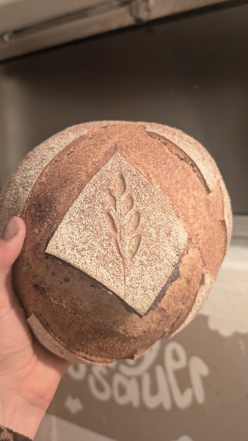 Egal wie wenig Schlaf ich hatte, sobald ich die Brote für den Ofen vorbereite, ist die Müdigkeit plötzlich nebensächlich😌
Es ist dieser Moment, wenn aus der ganzen Vorbereitung plötzlich etwas Greifbares wird. Das erfüllt mich jedes Mal wieder mit Freude😍
Es berührt mich sehr zu sehen, wie gut das Brot am Märit ankommt. Wie immer mehr Menschen sich auf Sauerteig einlassen, probieren, wiederkommen, erzählen. Zu wissen, dass mein Brot bei euch auf dem Tisch landet, weitergegeben und geteilt wird, das ist für mich das Schönste daran. 🤍
#sourdough #sourdoughcommunity #breadbaker #bread #love