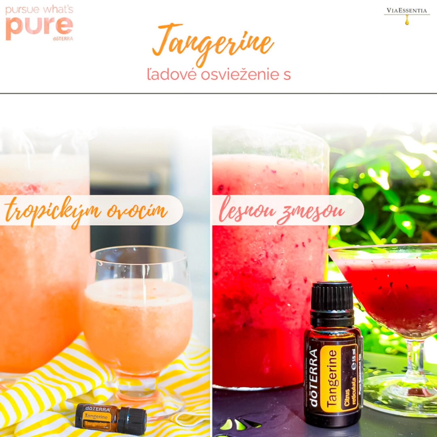 🍍/🍓 raj v poháriku👌
NA PRÍPRAVU cca 1 l POTREBUJETE:
- 3 kvapky esenciálneho oleja Tangerine doTERRA
- štava z jednej polovičky🍋
- 1,5 pohára vody
- 1,5 pohára štavy z pomaranča🍊 (prípadne pomarančového džúsu)
- 1,5 pohára zmrazeného ovocia (lesná zmes / tropické ovocie)
🍓 pre chladivý punč s lesnou zmesou sú skvelou kombináciou: jahody, maliny a čierne ríbezle
🍍 pre chladivý punč s tropickým ovocím sú skvelou kombináciou: ananás, papája, mango, žltý melón
POSTUP:
1. Do džbánu vylejte 1,5 pohára vody, šťavu z jednej polovice citróna a 3 kvapky Tangerine.
2. Do vysokej nádoby pridajte zmrazené ovocie a zalejte pomarančovým džúsom. Počkajte 2 minútky a rozmixujte.
3. Rozmixovanú zmes pridajte do džbánu s vodou, citrónom a Tangerine. Zamiešajte a môžete si hneď pripraviť poháriky, z ktorých si túto dobrotu vychutnáte.
Ak by bol pre Vás nápoj málo sladký pokojne pridajte steviu alebo hnedý cukor, či bazový sirup (všetko podľa chuti)
👌 Pokojne môžete experimentovať, skúsiť pridať viac zmrazeného ovocia ak chcete mať toto chladivé osviežnei hustejšie alebo naopak viac džúsu či vody.
#doterra #leto #limonáda #relax #raj #doma #tangerine #mrazené #osviežneie #lesnázmes #fresh #tart #tropickéovocie #bynature #esencialneoleje #viaessentia
------------------------------------------------------------
Ste zvedaví na svet esenciálnych olejov, ale neviete ako začať? https://www.viaessentia.info/vasacesta
Viac o účinkoch esenciálnych olejov a rozdieloch medzi druhmi aplikácie sa dozviete:
https://www.viaessentia.info/ucinky-esencialnych-olejov
Prečo sú esenciálne oleje od doTERRA výnimočné?
https://www.viaessentia.info/doterra-esencialne-oleje
doTERRA E-SHOP:
https://www.viaessentia.info/doterraeshop