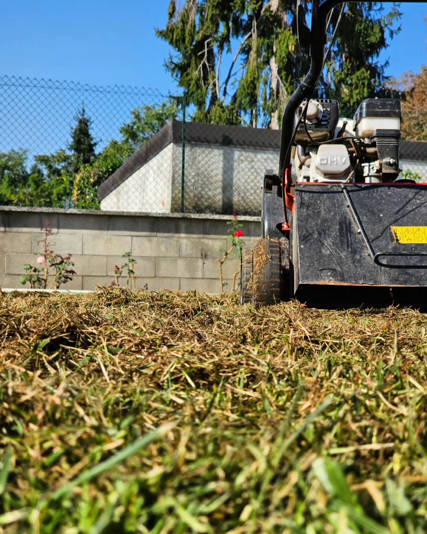 #green #landscape #garden #gardendesign #workinprogress #work #passion4garden #landscapephotography #picoftheday #workoftheday #italy #designer