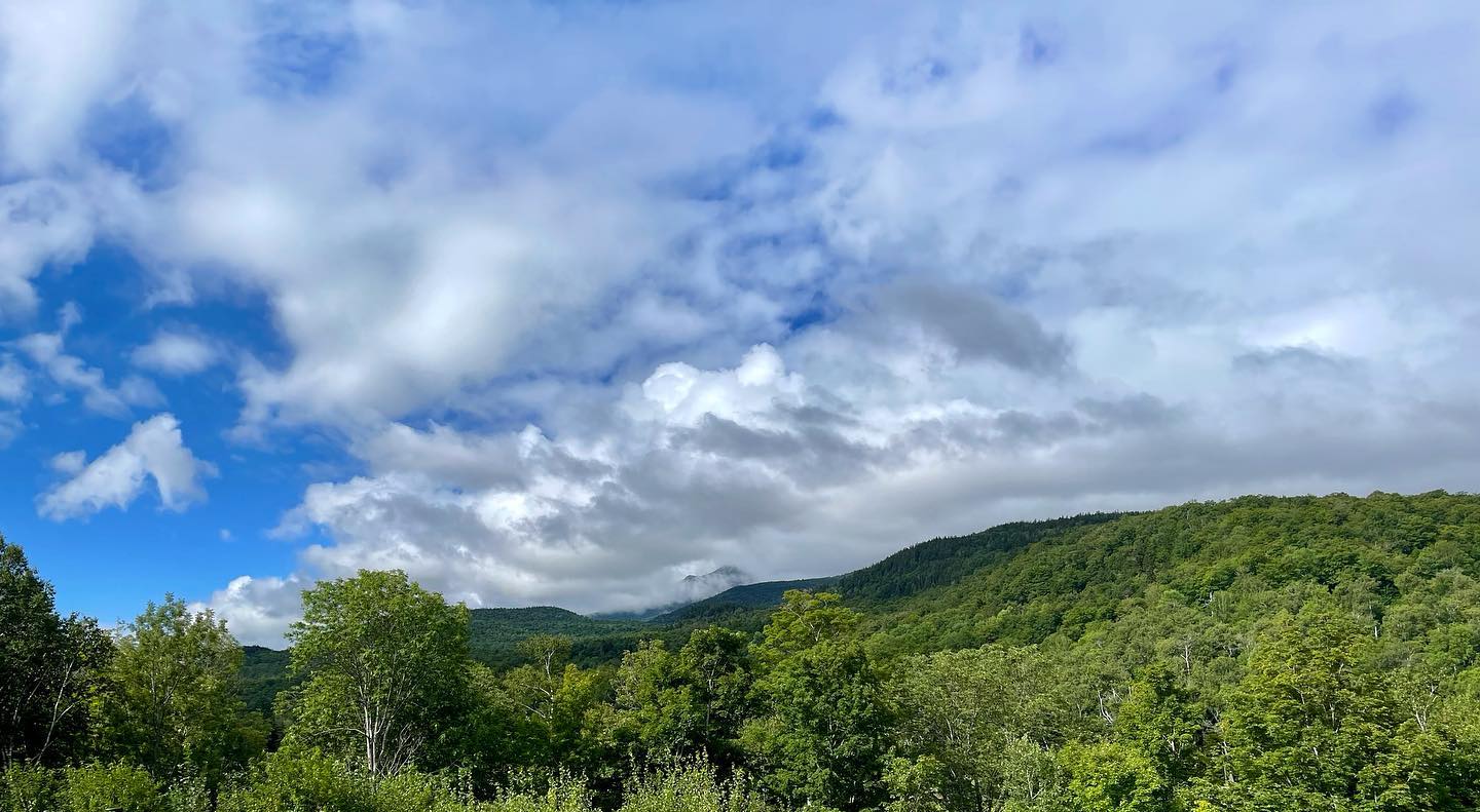 The shop is closed today and open tomorrow 9A-2P.