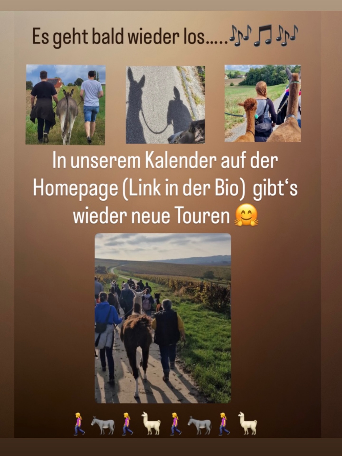 #begegnungshofselztallamas #wandernmachtglücklich
#lamas
#esel
#alpakas