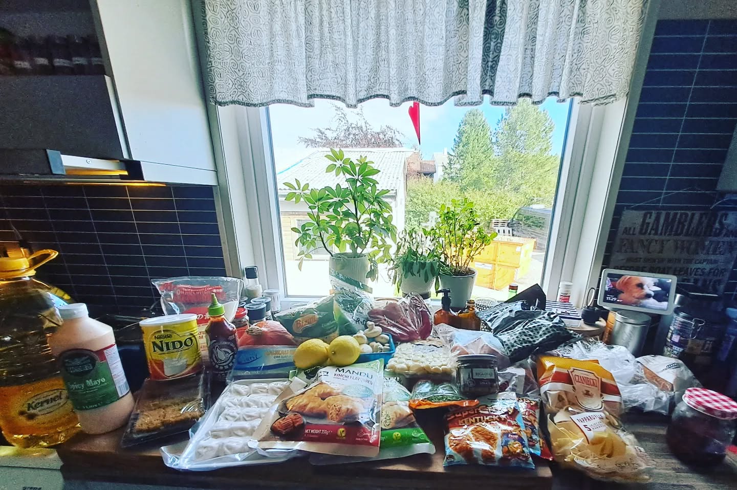 Oh, I'm in my happy place now.❤️❤️✨✨
Quick errands for me this morning to investigate 2 new (to me) Asian food shops. They were okay but my 3 shops right by home have them beat out in variety. Most are still more Middle Eastern and Eastern European goods. I'm trying to find one with more Thai, Vietnamese, Singaporean, Filipino, Korean and Chinese products in the Ålesund area. The hunt continues...
For today, I got a great haul. Lots of refills on my staples and a couple of new dumplings to try out😊😊
Nothing warms my heart like food boutique visits ✨✨ #shiny