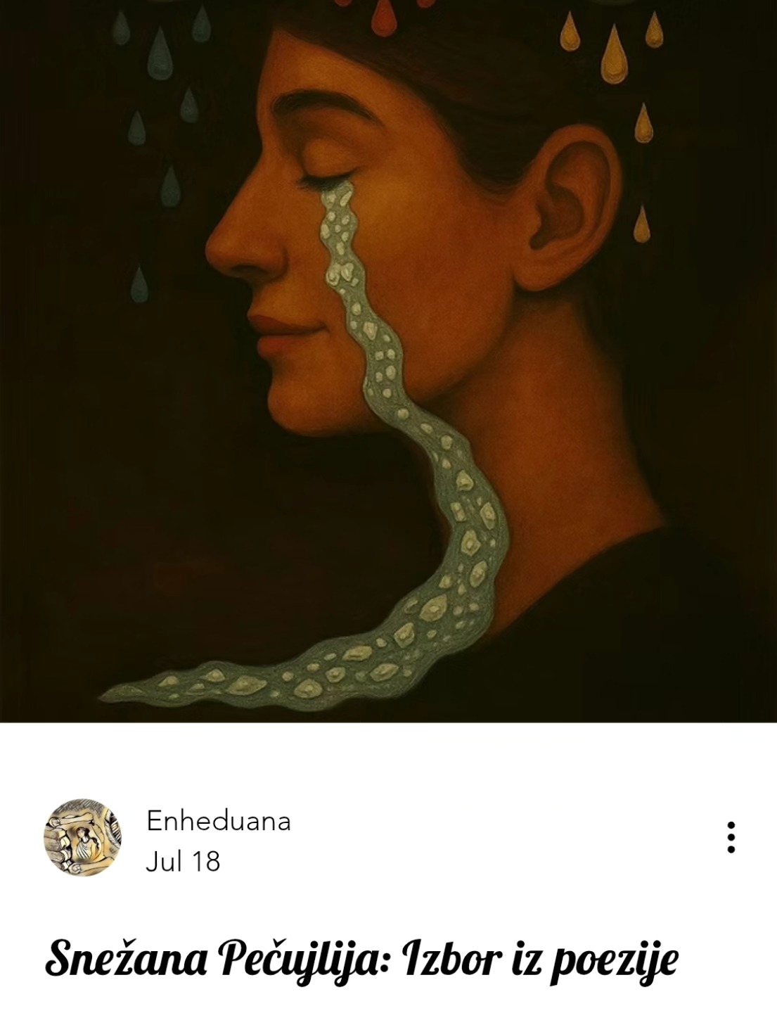 Snežana Pečujlija: Izbor iz poezije
#enheduanaliterarymagazine #časopisenheduana #poezija #snezanapecujlija