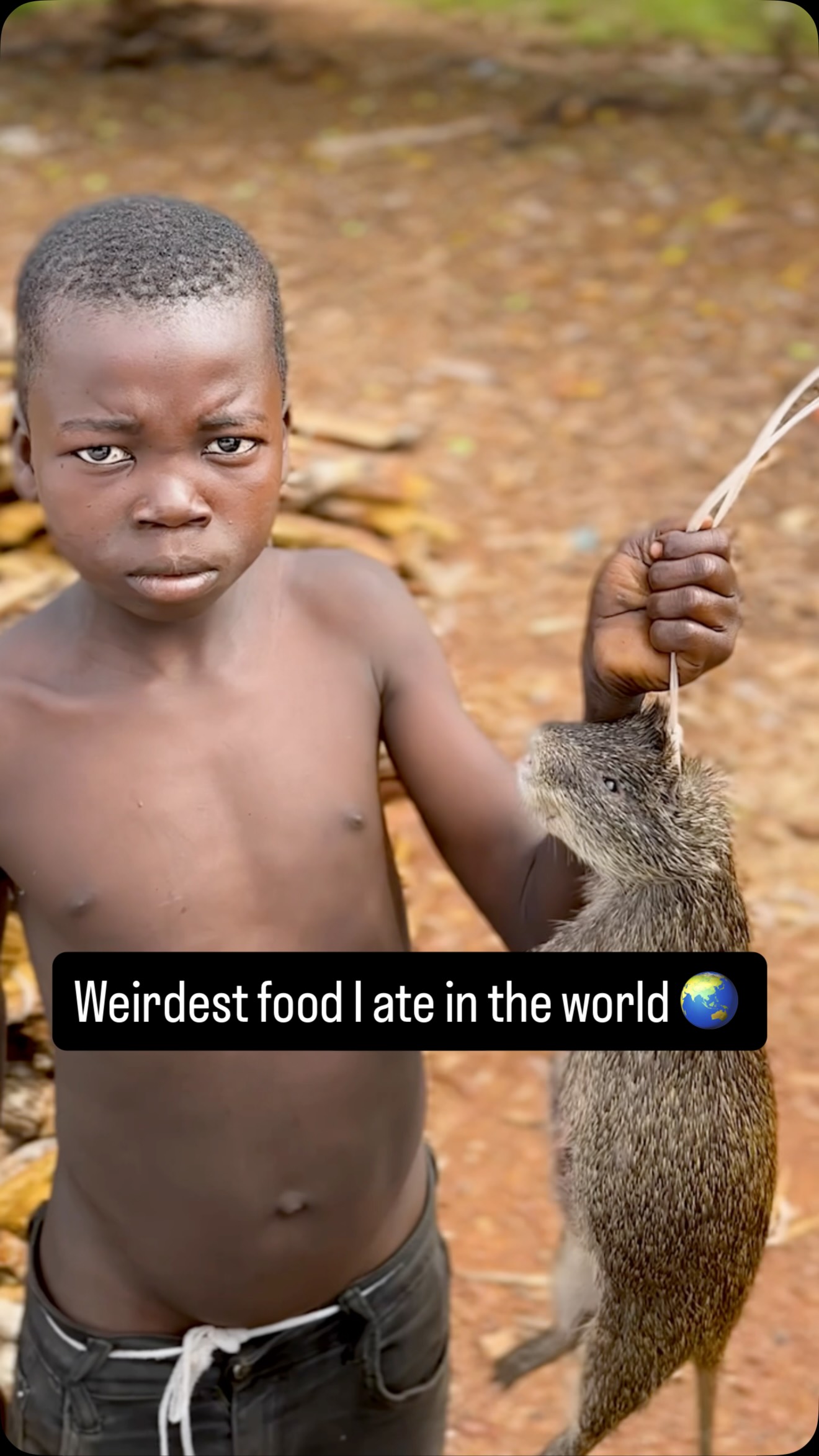 Weird =\= bad! Which one would you try?
10 – Horse meat & fermented horse milk (Mongolia)
Horse meat is eaten in parts of rural Mongolia. Fermented horse milk (airag) is a common drink made from a mare’s milk that has a mild alcohol content.
9 – Fermented goose head (Cambodia)
The goose head is prepared and consumed whole; fermentation is used to extend shelf life and develop flavor.Lots of chewy bits make this a minefield of flavors.
8 – Iguana soup (El Salvador)
The soup is traditionally prepared with herbs and vegetables and is considered a regional dish.
7 – Ball python (Central African Republic)
The last snake of the night was given to me.
6 – Bushmeat (Central African Republic)
Bushmeat refers to wild game such as small mammals and rodents. We found this boy selling giant lizards and other small mammals. I have no idea what kind of animal this is....
5 – Century egg in congee (China)
Century eggs are preserved duck or chicken eggs cured, turning the yolk creamy and the white a dark blackish-blue.
4 – Fermented shark (Iceland)
Hákarl is a traditional Icelandic food made from Greenland shark that is fermented and dried to remove natural toxins. I don’t like to think about this dish for too long.
3 – Tarantula (Cambodia)
Fried tarantulas became popular as a survival food during periods of famine.
2 – Surströmming (Sweden)
Surströmming is fermented Baltic herring, and has long since been my achilles heel.
(Honorable mentions)
Baby cobra wine (Vietnam) – Snake wine is an infused rice liquor traditionally believed to have medicinal properties in some folk practices.
Seal penis liquor (North Korea) – Seal penis has been used in some East Asian traditional medicine contexts.
1 – “Poop soup” (Philippines)
Papaitan is a soup from the Philippines, often called “cow/goat poop soup” because it is traditionally flavored with raw bile and sometimes the digestive fluids.
#weirdfood #grossfood #globalfood #eatingaroundtheworld