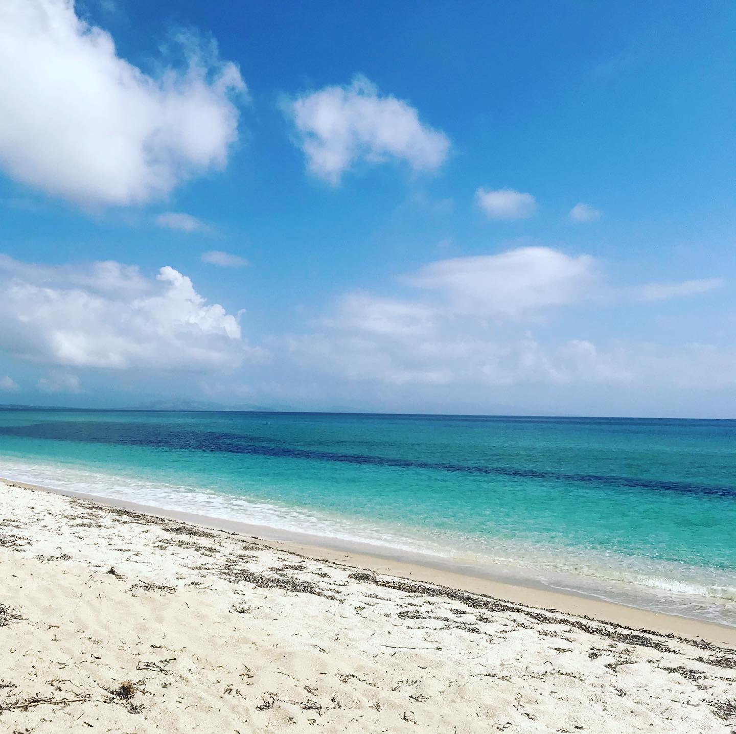 Gorgeous #ezzimannu #nurra