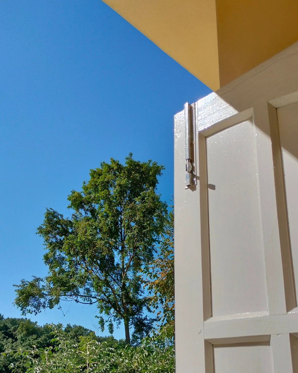 It's a small base that we have here in Shillong. But we are loving this vibrant afternoon.
Spaces often influence our thinking and state of mind... And we're super glad ours is close to nature. 🌿
Tap into what elevates you.
#midweekmotivation
#studio