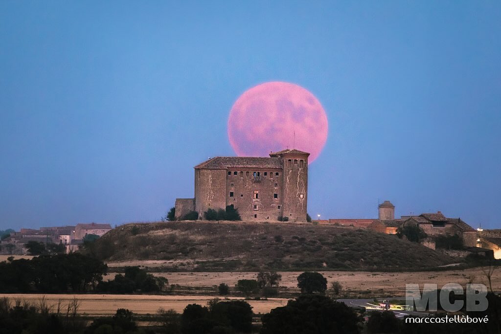 “Encanteri nocturn”
…
🌕 Lluna d’esturió
🏰 Castell de Montcortés de Segarra
…
#montcortés #segarra #somsegarra #castell #castle #castillo #lluna #luna #moon #bluemoon #moonlovers #catalunyaexperience #catalunya #descobreixcatalunya #descobreixcat #eltempstv3 #llunaplena #superlluna #moonlight #photooftheday #picoftheday #artisticvision #photopills #photopills_moon #aralleida #adnlleida #raconsde_cels #night #igmoon #plansdesió
…
@ajuntament.plansdesio @ccsegarra @turisme.ccsegarra @museudecervera @catalunyaexperience @cristinarius002
@descobreixcatalunya @raconsde_cels @moon_phases @nightphotography @cat_nits @eltempstv3 @tomasmolinab @segarraviva @eloicordomi @somsegarra @marxacastells @nikonspain @nikonistas @monicausart