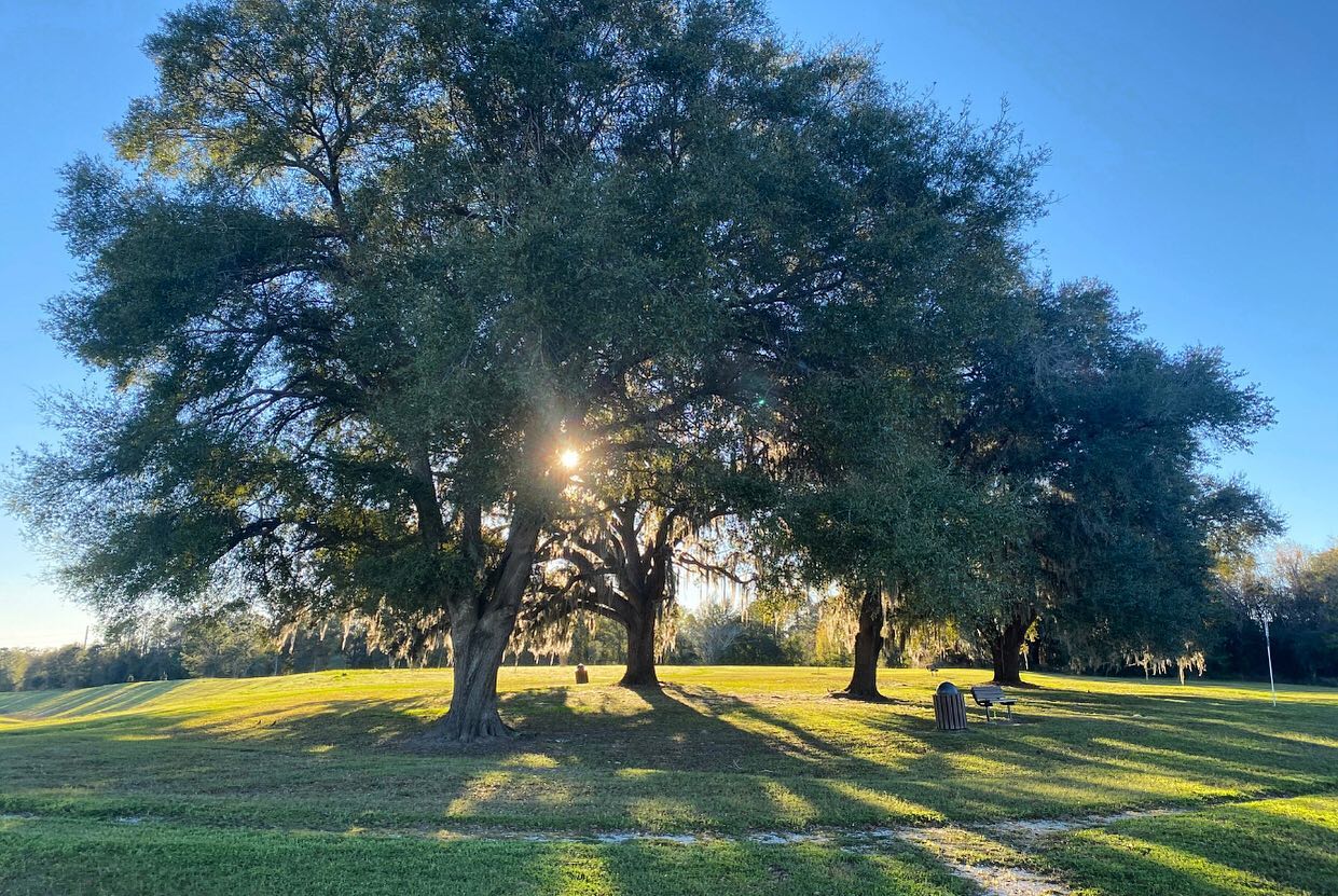 Who’s ready for some gorgeous weather?! Derek is done with the cold! TELL US:
What is your favorite season and why? COMMENT BELOW! 🌲 ☀️
