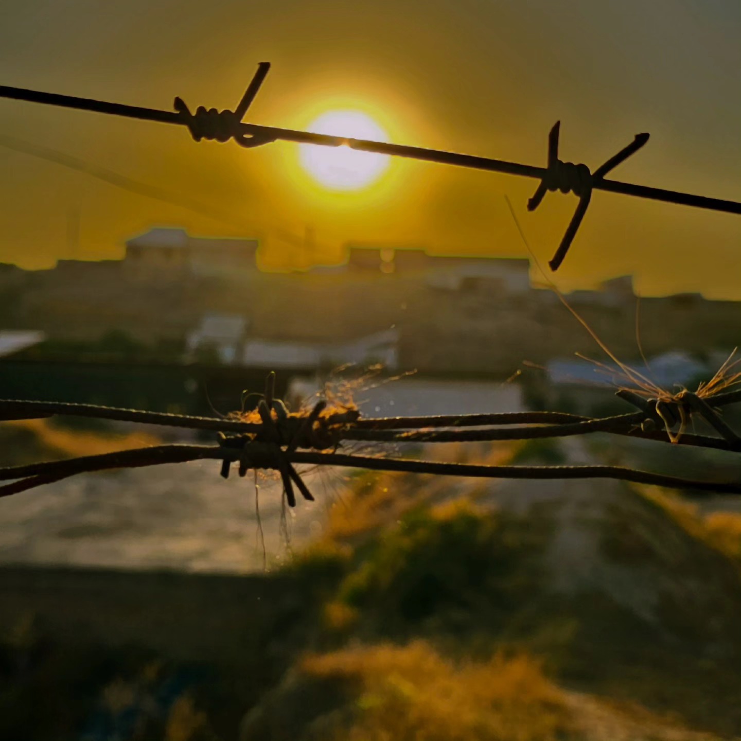 #adynaolive #documentalphotography #daybyday #myheartinpictures❤️ #centralasia