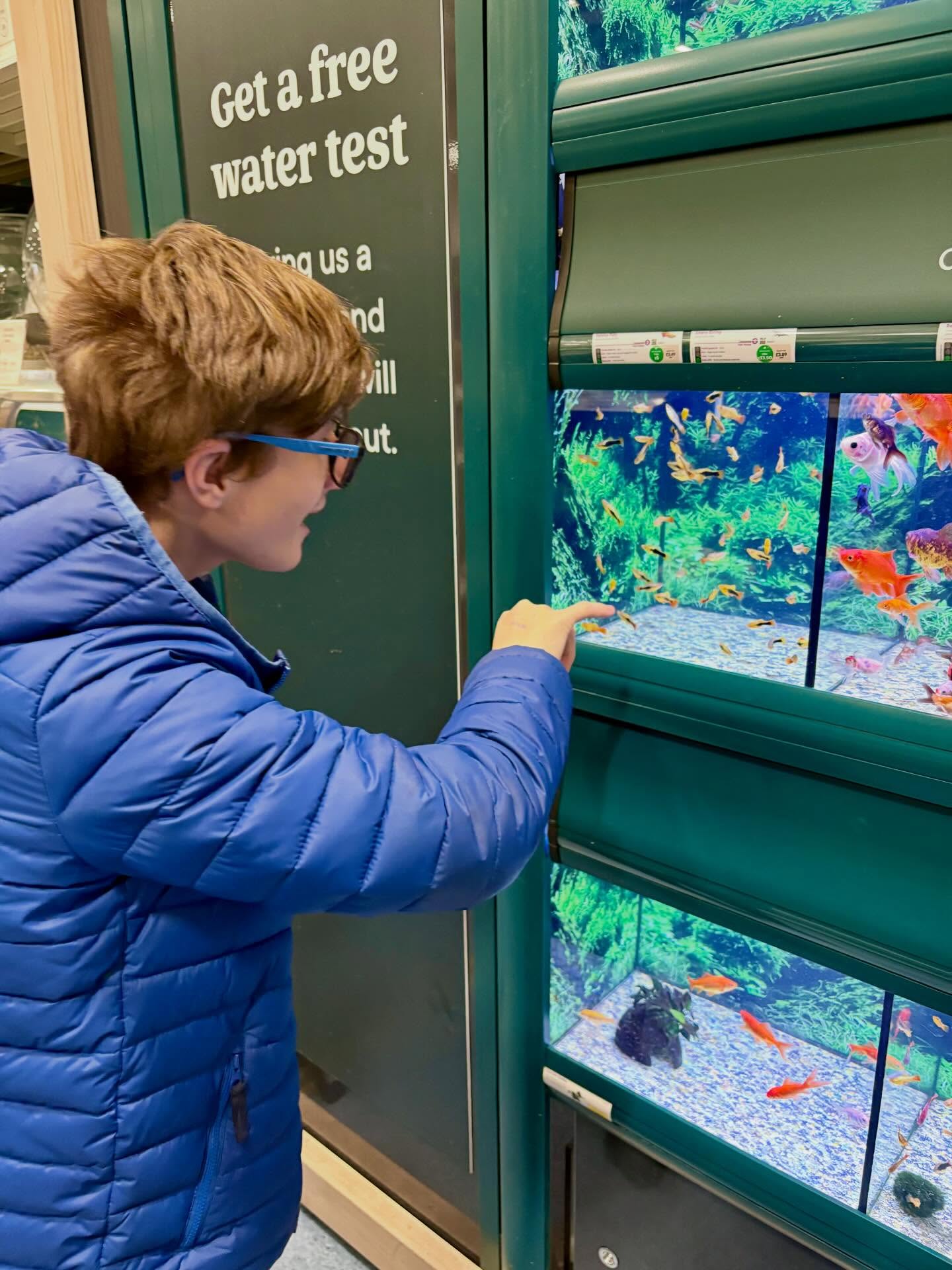 Maison enjoyed a trip to the local pet shop to continue his research into setting up an aquarium #asdan