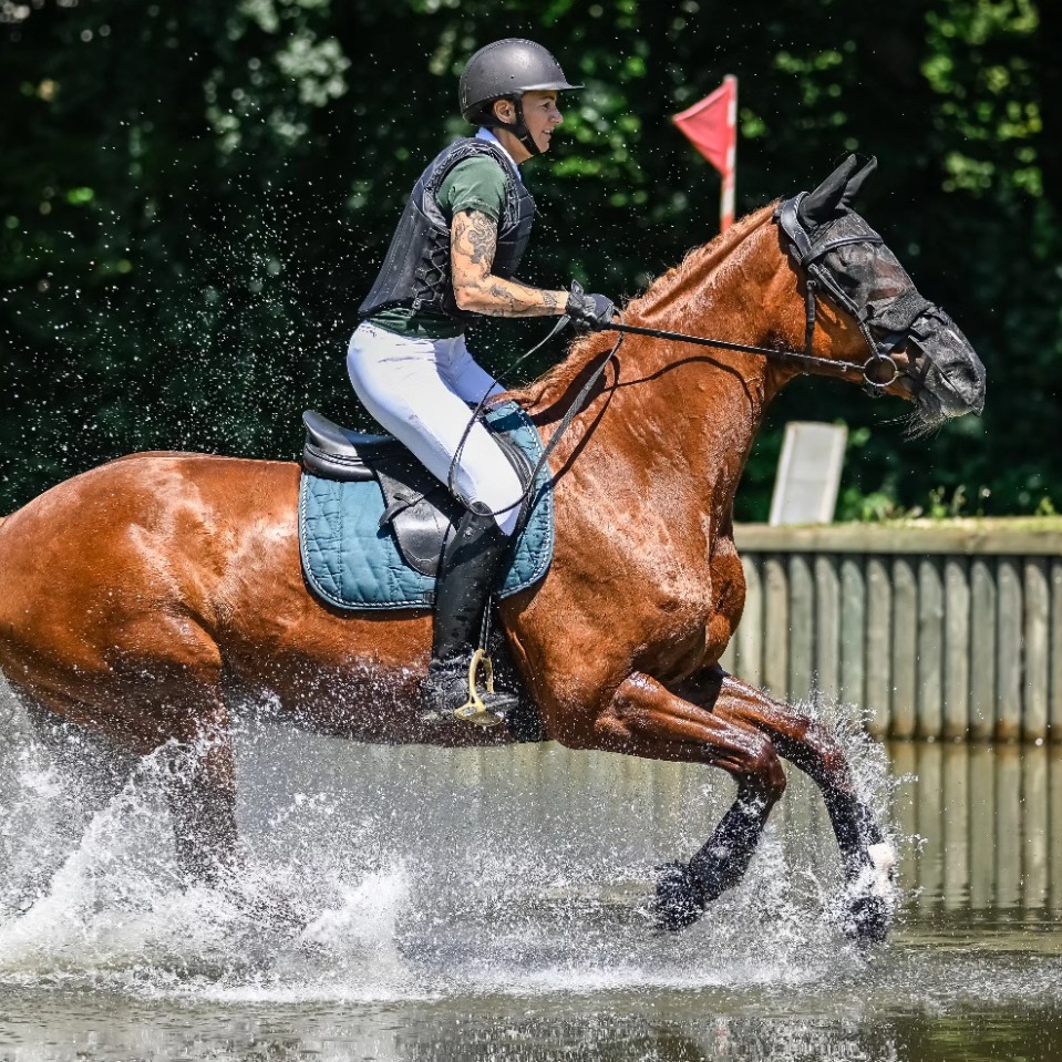 Am Sonntag ist es so weit: Unsere Kombinierte Prüfung des RCK findet auf dem wohl schönsten Reitplatz in Zürich, der Hardwiese, statt. Die Startliste ist online, die Wetterprognosen gut, die Vorbereitungen laufen auf Hochtouren und wir freuen uns alle schon sehr. Zuschauerinnen und Zuschauer sind natürlich ebenfalls herzlich willkommen!
#kolbenhof #reitstall #reitschule #hardwiese #rck #kombinierteprüfung #derby #vorfreude #sommer2025