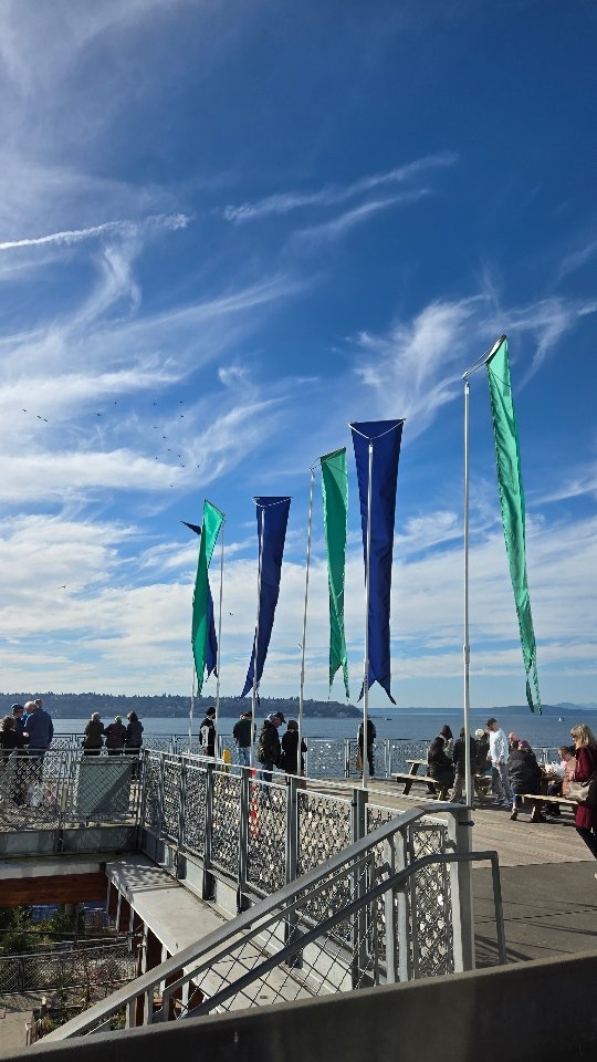 Seattle favorite colors 💙💚
.
.
#pikeplacemarket #gohawks💙💚 #seahawkscolors #ornapottery