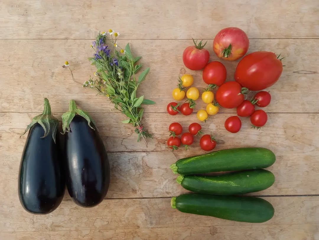 So sah die letzte Mini-Kiste aus😊 Wer Lust drauf bekommt: Jetzt kommt die wilde Kiste für die nächsten 5 Monate! Jede Woche Saisonales vom Acker, erntefrisch aus Heidelberg ❤️
• 2 Größen
• Abholung in HD Handschuhsheim, Bergheim und Mannheim Innenstadt
• Späterer Einstieg möglich
Ihr könnt euch jetzt online auf unserer Webseite anmelden (Link in Bio)