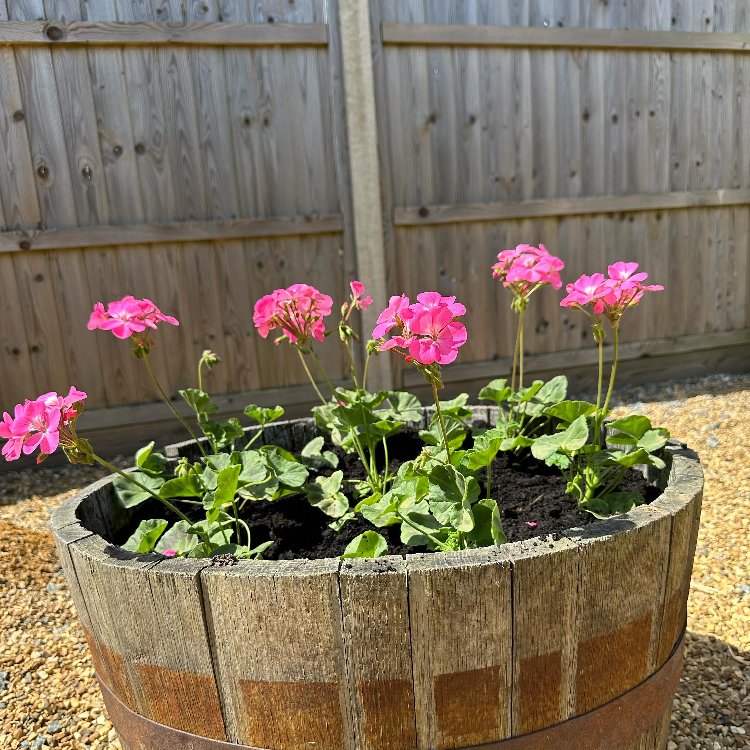 🌿 New beginnings are blooming at our campsite! Just a few weeks until our grand opening on the 20th of July. Have you booked your spot yet? 🌞 #CampsiteLife #NatureLovers #CampingCountdown