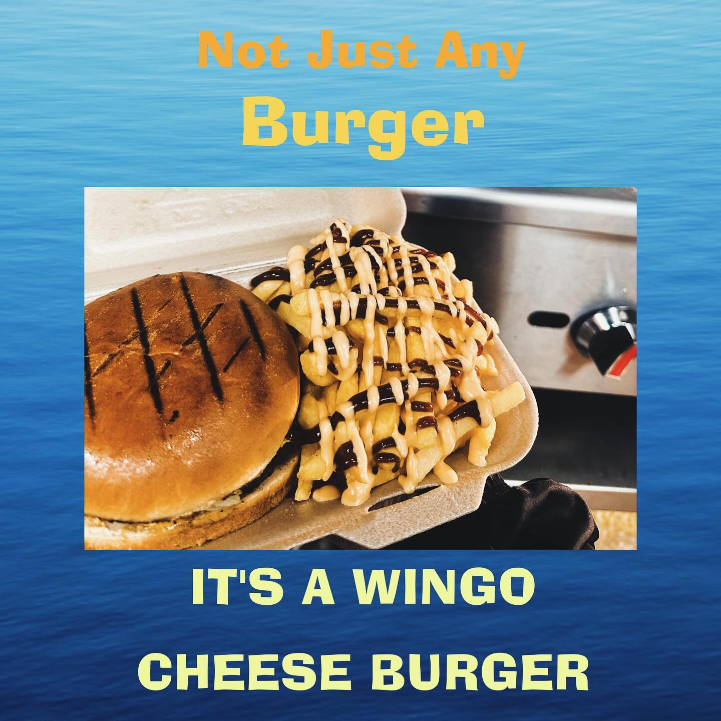 Cheese burger or fillet burger??
#wingopiripiri