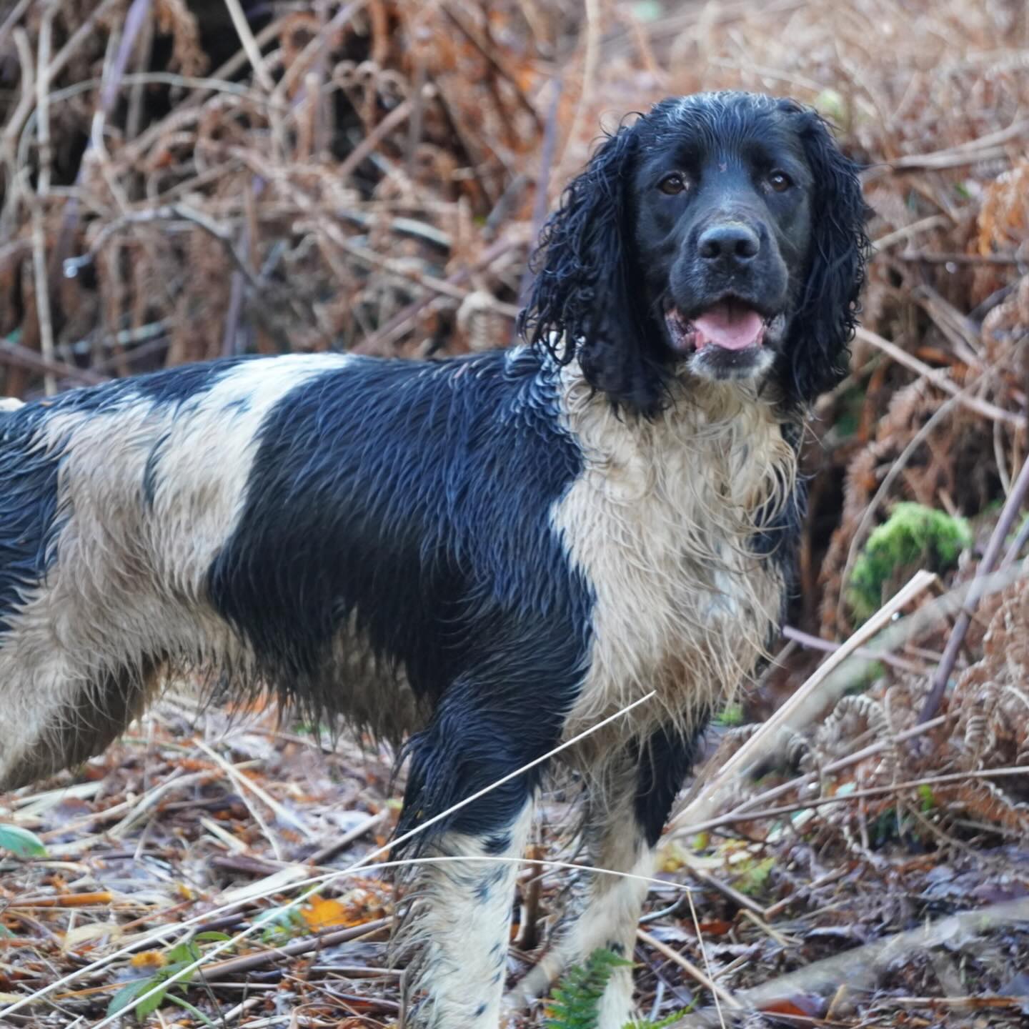 📸 Wessington Paris 🖤🩶