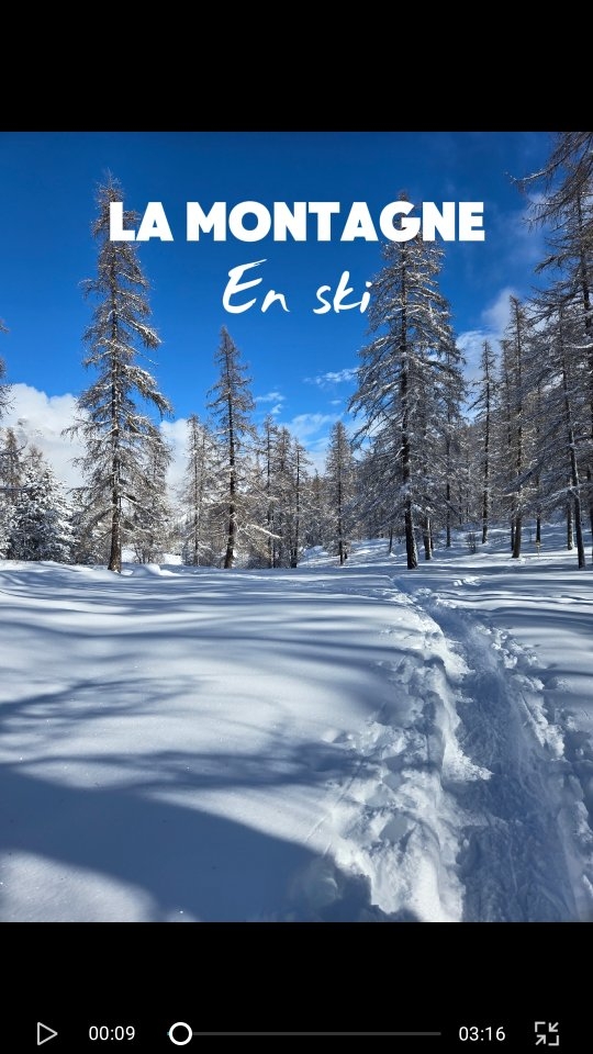 S K I
Fin de semaine moulti-ski
De la piste, du skating et de la rando
Cardio et cuissots : 🔥
Lundi retour sur les raquettes !