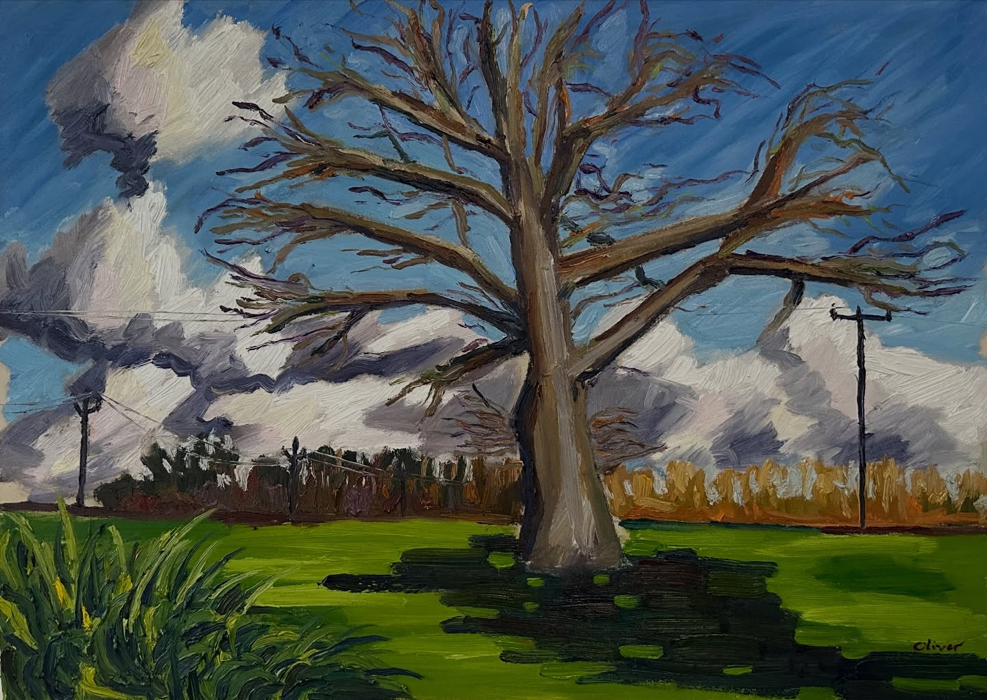 ‘The Winter Tree’
oil on canvas
70 x 50 cm
See it @brothershipstudio
#art #painting #oilpainting #pleinair #landscape