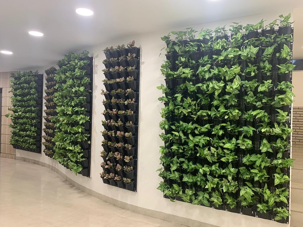 Natural Green Wall Vasant Vihar