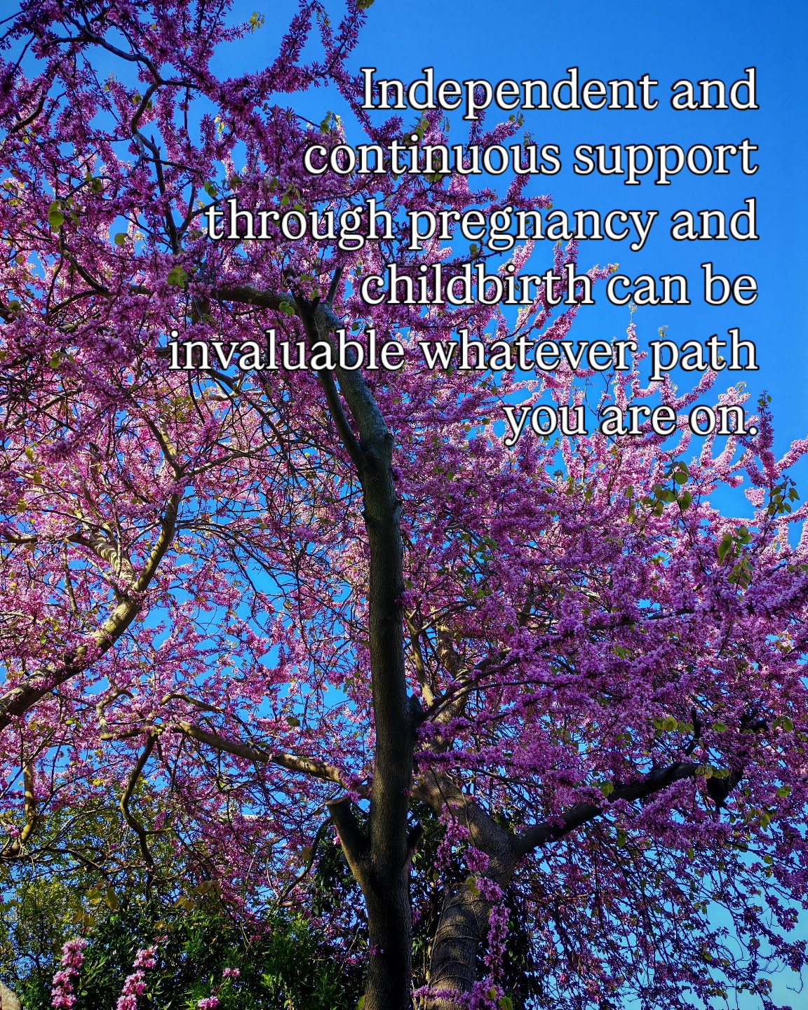 There is sometimes a misconception that unless you are planning a vaginal birth or one without any other intervention (because although generally positive, hiring independent support is still an intervention), you don't need the support or advocacy of an independent person. But what happens when physiology creates an unexpected, sometimes devastating fork in the road, or when for medical or personal reasons surgery is the best option for you and/or your baby? Your needs don't disappear, if anything your situation becomes more nuanced, your needs more delicate, the care needed more tender.
Having continuous support, independent from family and the care system, can mean crucial advocacy at a time when your choices might feel limited, a reassuring and familiar presence when you feel lost as the path starts to move away from that which was expected and hoped for, space held for you as you navigate decisions when your needs step outside of the 'norm' (however you view this).
Pregnancy and birth don't always take a smooth or linear path, as in life there is uncertainty and unpredictability, but no matter what your circumstances, however unique, however difficult, there will always be choices available to you about how you meet your baby.
If you are looking for support that promotes a gentle transition however it is going to look for you, your baby and your family, please reach out to hear more about how I can support you 🧡
.
.
.
#doulasupport #birthsupport #birthpartner #hampshiredoulas #birthadvocacy #birthrights