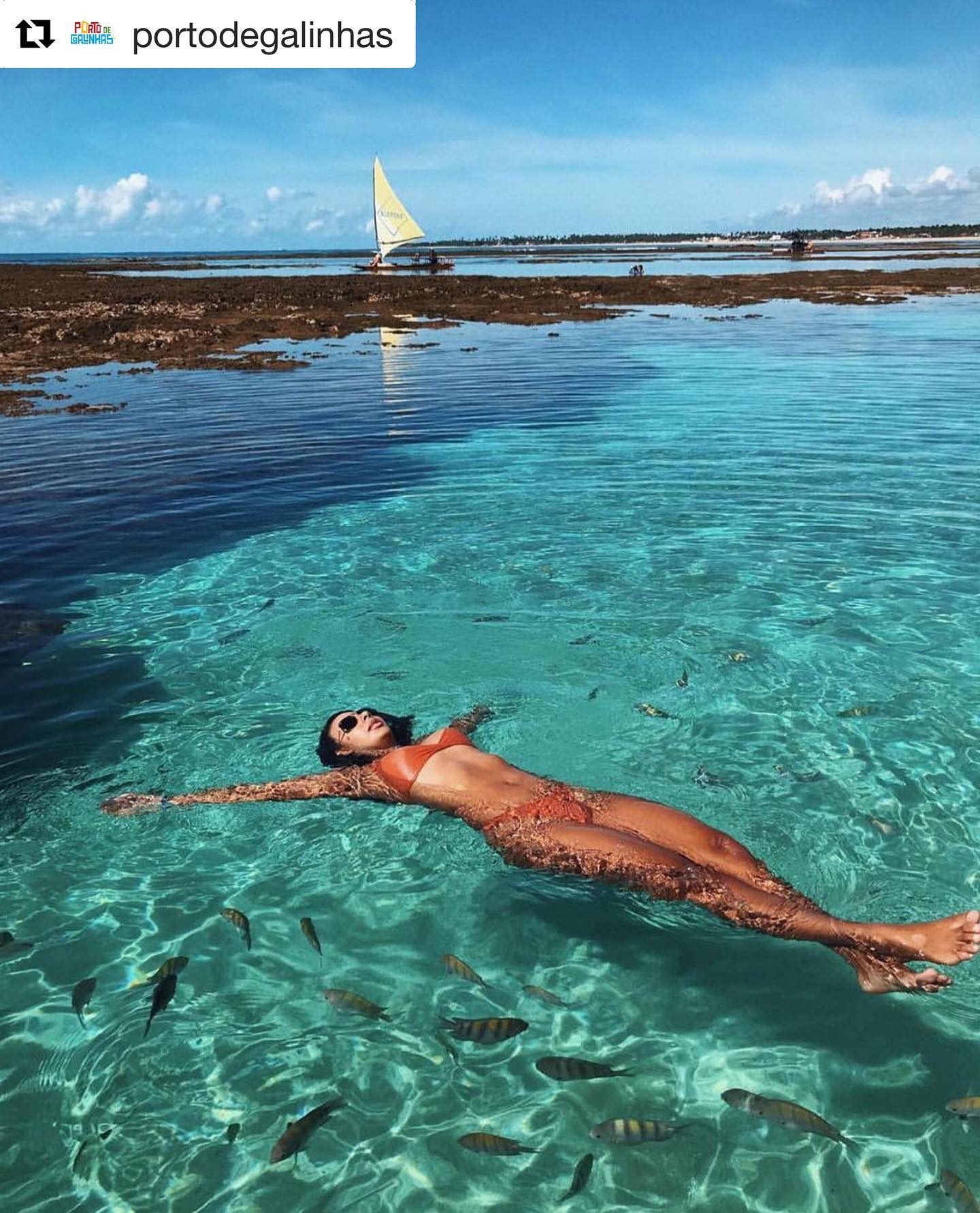 #Repost @portodegalinhas with @get_repost
・・