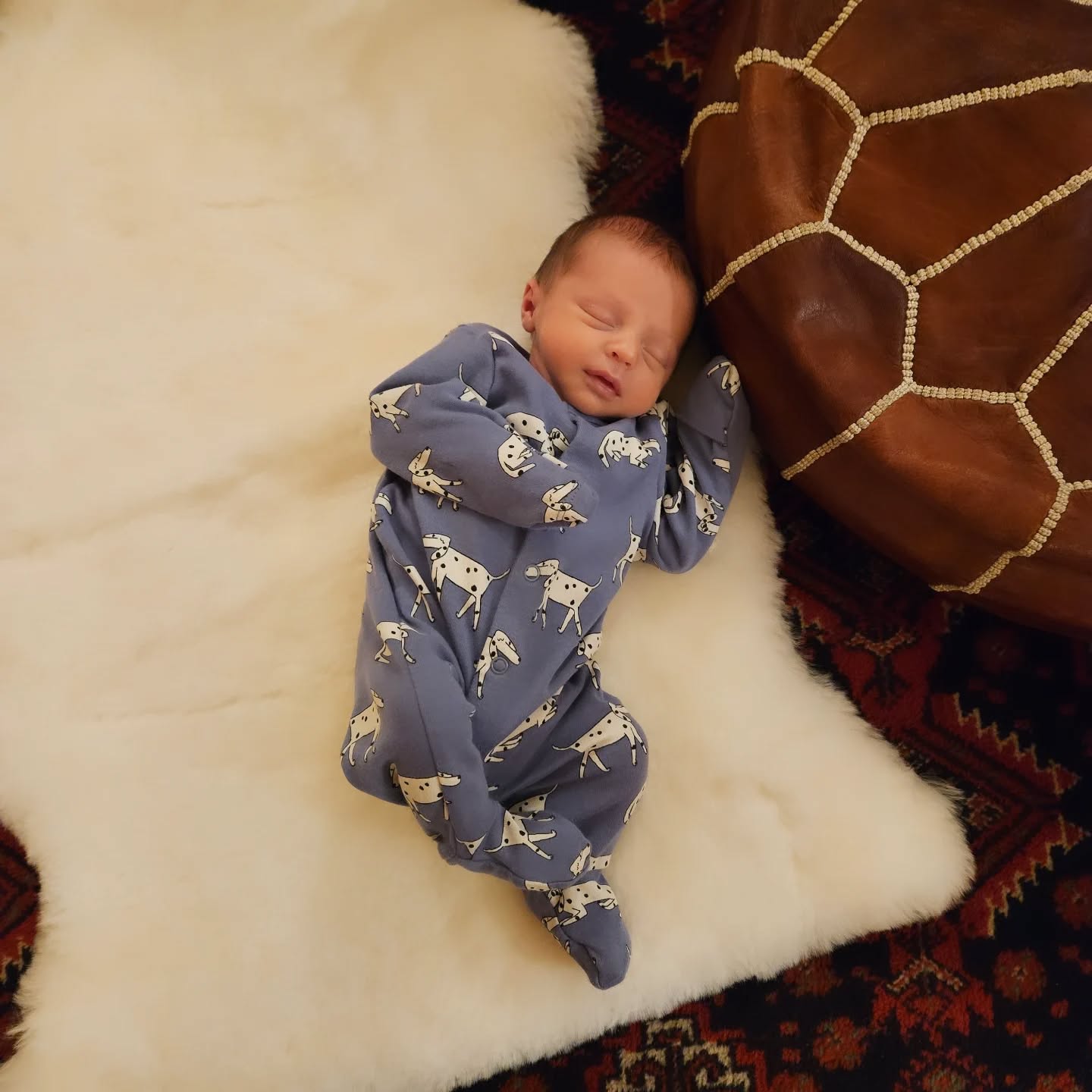 Say hello to the newest two.eight.one team member...
Baby Bertie Eldridge ✨️
Born 6th Jan 2025 / 5.11pm / 6lb2oz.
After a whirlwind start, we are all back home and doing well 🥰
We will be taking a few months off but will still be on emails and admin throughout (just might be a little slower in the mean time whilst we adjust to our new life as a family of 5 👼🐶🐶)