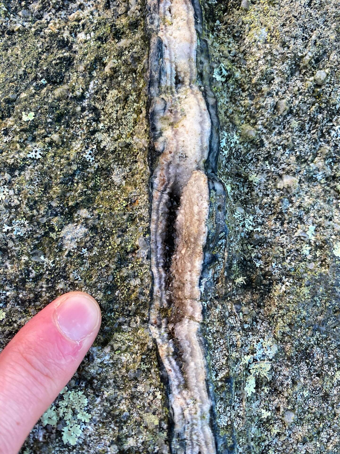Multiple stages of mineralisation in a small vein system in granite atop Carn Eanes at Pendeen.
The outer black and white bands consist of quartz and tourmaline, with the inner bit being banded chalcedonic quartz with a vuggy centre and beautiful euhedral crystals growing inwards.
Hydrothermal mineralisation can occur in many geological settings across a range of temperatures and pressures. Aqueous fluids, known as volatiles, get heated up and mobilised.
If a rock fractures fluids can rush in to re-equilibrate the pressure, altering their ability to carry certain elements. Elements begin to bond together and precipitate minerals that fill the void to form a mineralised vein.
The chemical and thermodynamic diversity of hydrothermal fluids leads to a complex mineral paragenesis and distinct geospatial and temporal variations in mineralisation across Cornwall.
Repeated fracturing can create multiple episodes of veins. This, plus any alteration zones containing ore minerals is called a lode. They are often sub-vertical, up to several metres thick, and hundreds of metres in length and depth.
Most mineralisation in Cornwall formed as a consequence of the Permian granites.
Vast amounts of water is dissolved in granitic melt. As those magmas crystallise eventually those waters exsolve from the melt, known as magmatic-hydrothermal fluids.
This is likely what produced the original quartz-tourmaline veins here, forming at higher temperatures from a boron-rich magmatic-hydrothermal fluid.
Heat from the granite magmas also radiated through the host rock, mobilising connate and meteoric waters with different chemistries and causing them to circulate through the surrounding sedimentary and igneous rocks.
Long after the granite magmas cooled and crystallised they were still producing heat, originating from the decay of certain radioactive minerals.
This radiogenic heat mobilised salty brines in the sounding sedimentary basins during the Triassic, producing low-temperature, epithermal mineralisation locally known as crosscourse. This is likely the vuggy, chalcedonic quartz part of the vein system here.
#mineralisation #cornwall #geology #geologist #geologylife