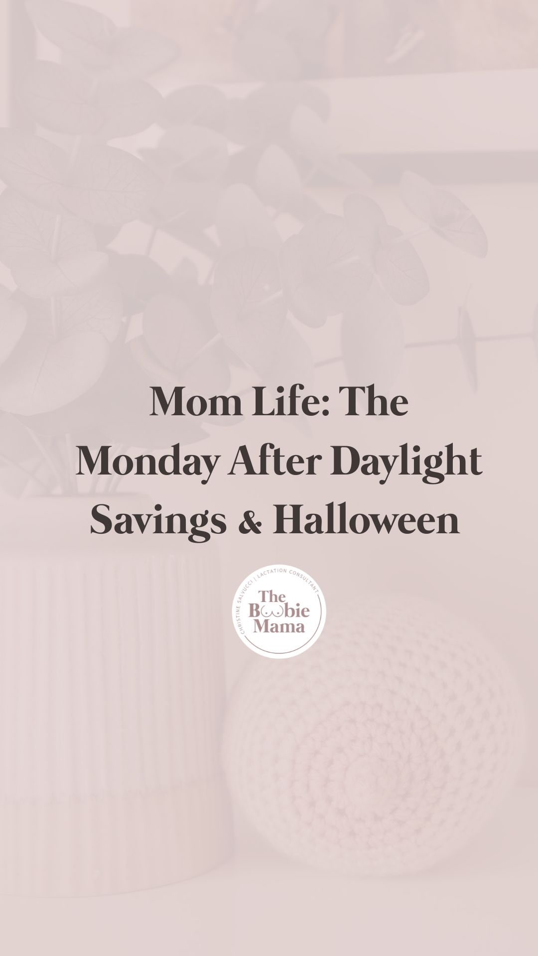 It’s the Monday after Daylight Savings and Halloween… between the dogs and my toddler boys, everyone was up at all hours and we started our day at 5:30am 😅☕️ How was everyone’s weekend????