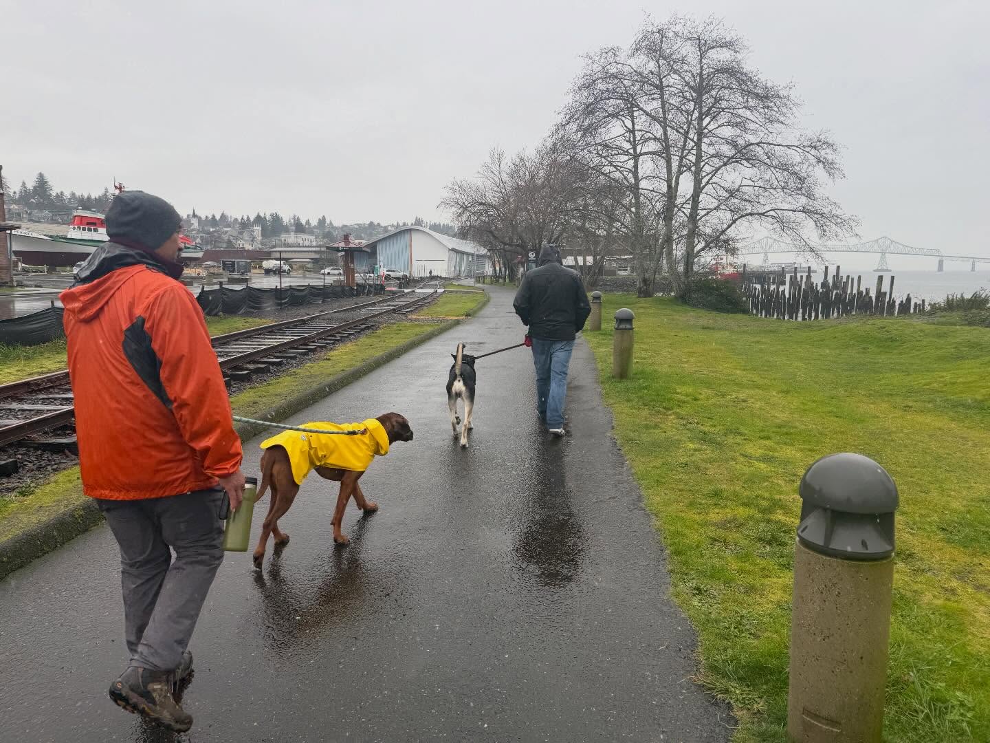 We had a great time walking dogs in the rain! @roguecellvets @astoria_parks @AstiriaRiverWalk Come on out and join us every Saturday at 10am we meet at @sleeper.coffee