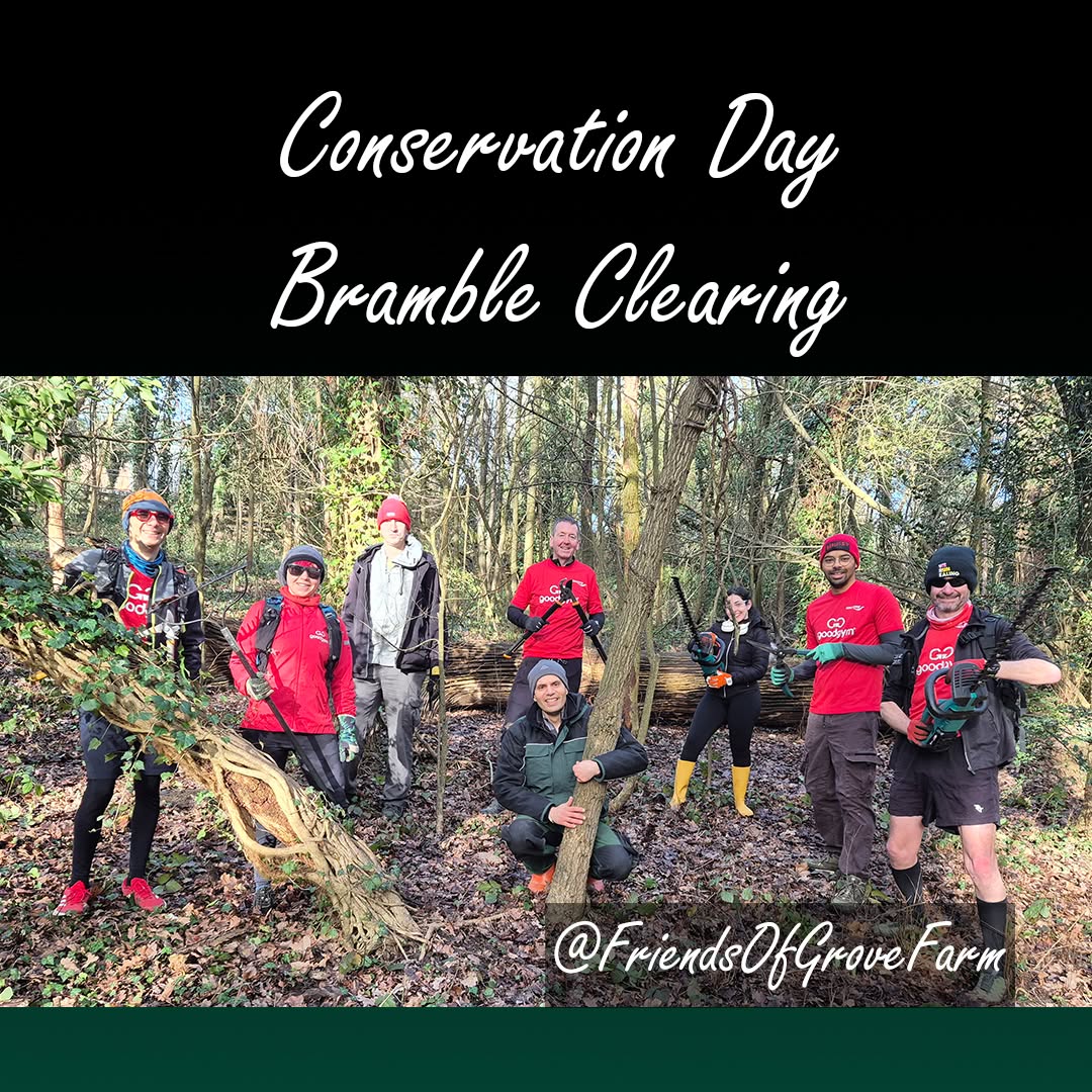🌿 Winter Woodland at Grove Farm: Bramble Clearing for Spring Blooms 🌼
A big thank-you to our amazing volunteers from #FriendsOfGroveFarm regulars Sue, Fred and Livio as well as @goodgym_ealing Steph, Sevan, Kash, Ash, Thaiza, James and Richard who came together for our January conservation session at Grove Farm! 🌳💪
After a week of grey skies, the sun finally broke through just in time for us to clear brambles from the woodland slope around the anemone trail — making space for spring life to return. Mushrooms dotted around the woodland and the sound of strimmers echoed through the calm morning air as our team got to work! 🍂🔪
Why all the effort?
🌼 Brambles, if left unchecked, can take over the woodland floor and block sunlight
🌼 Clearing them helps our beautiful wood anemones return in March and April
🌼 These delicate white flowers are ancient woodland indicators — and every bit of care counts!
This year’s brambles were much easier to manage. With the slope now cleared, we’re optimistic for a stunning spring carpet of white blooms again soon! 🌸
Join our next session in February to support Grove Farm’s biodiversity and enjoy a peaceful forest-bathing morning in Greenford. 🌿
📩 DM us or visit our web site for more details about volunteering and how you can get involved.
#conservation #friendsofgrovefarm #WoodlandManagement #communityaction #NatureLovers