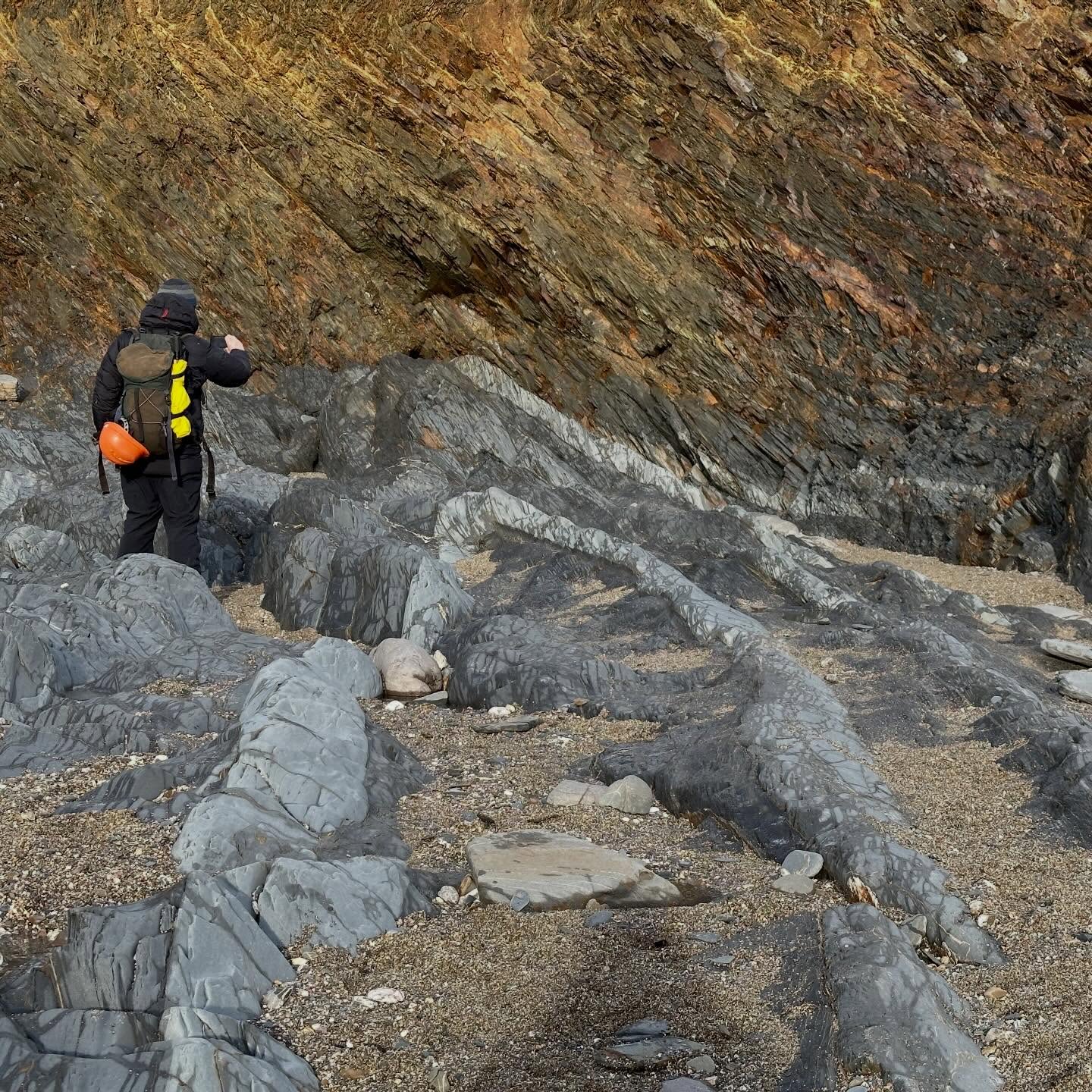 A few doodles over some hidden structural geology gems in the foreshore platform at Jangye-ryn.
Low sand levels and late afternoon light illuminated this lovely first generation Variscan fold.
The fold is an asymmetrical anticline with an inclined axial surface dipping off to the SSE. The fold is facing and verging NNW.
The pale grey beds are composed of fine-medium greywacke sandstone and the dark grey is mudstone.
These rocks are part of the Portscatho Formation, forming in the Upper Devonian as submarine sediment gravity flows during syn-convergence sedimentation.
A strong cleavage has developed in the mudstone. Observing the relationship between bedding and cleavage orientation in inclined folds like these can help understand which bed is younging the right way up or if it is overturned.
If cleavage is dips steeper than bedding then bedding is the right way up. If bedding dips more steeply than cleavage then the bed has been overturned.
This is a really handy tool to understand large scale folding in areas with patchy outcrop and absence of any clear sedimentary structures to indicate way up and younging direction in sedimentary rocks. However, this only works with inclined folds where the cleavage is axial planar to the fold.
#structuralgeology #tectonics #variscan #cornwall #geology