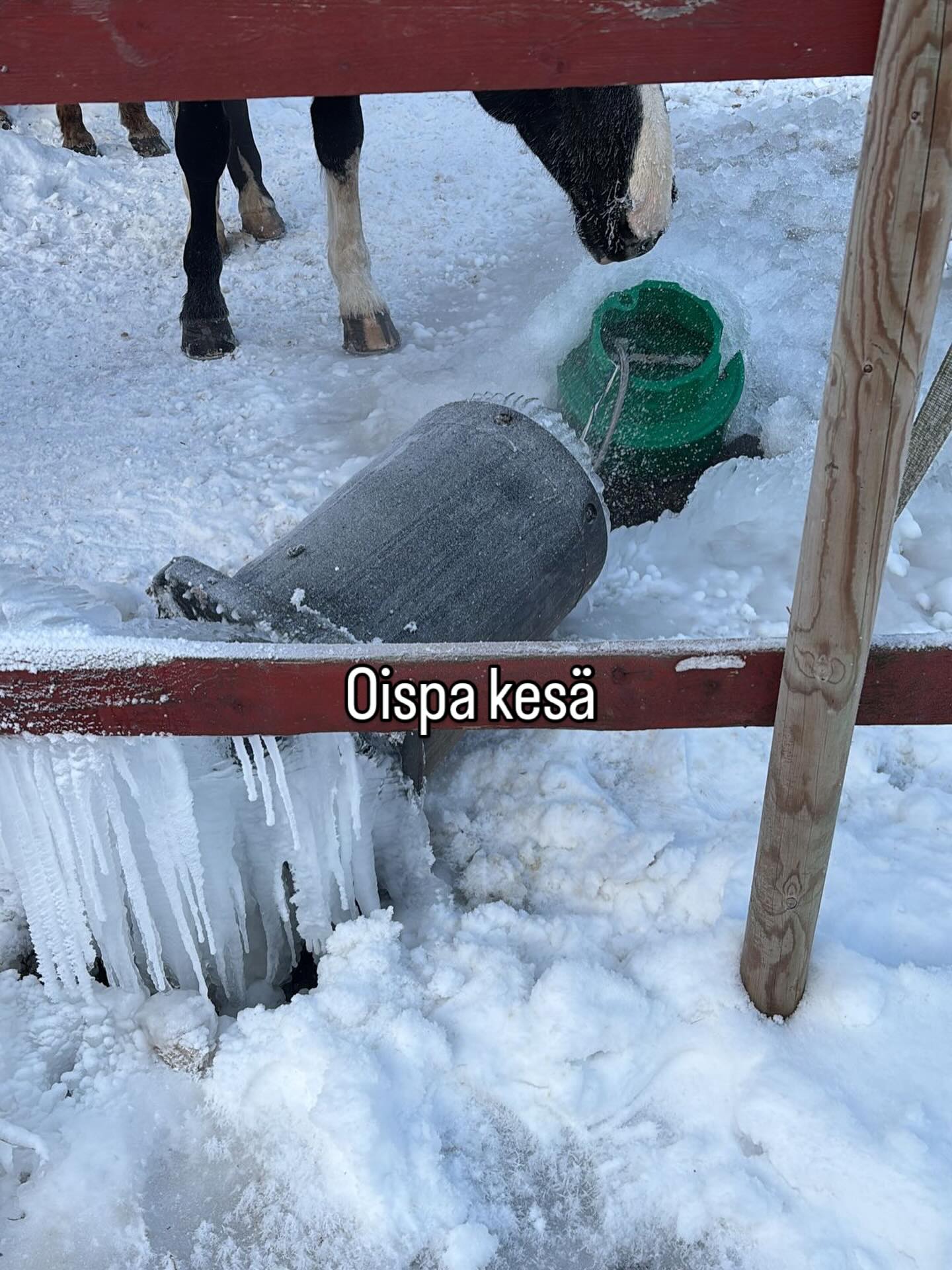 Tai edes vähän vähemmän pakkasta, ettei ihan kaikki jäätyisi 🫣