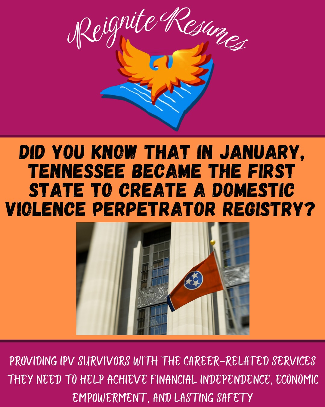 Tennessee just became the first U.S. state to create a domestic violence registry. However, not all IPV advocates are in support of it.
Check out our post to learn more about this controversial new move.
#reigniteresumes #npo #nonprofit #youthled #femaleled #resume #resumes #recruitment #domesticviolence #ipv #youthleaders #youthleadership
