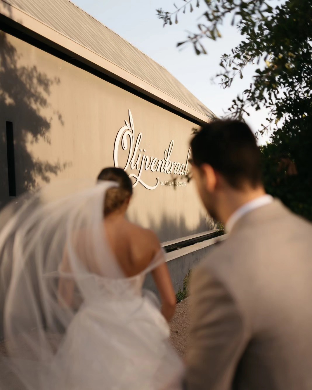 Olijvenkraal Weddings // where elegance meets modernity.
Introducing Mr & Mrs Onorati 🥂
Ph: @mattcarrphotography
Coordination: @curated.by.carla
Floral design: @thegrandbotanist
Decor: @grandroomdesign
DJ: @marco_dj_anker
Staffing: @pepa_events_staffing