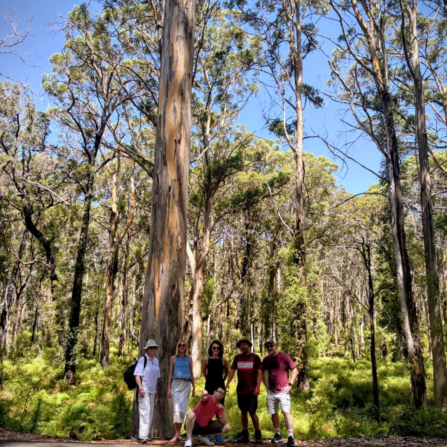 Its a pleasure guiding our fabulous clients around the south-west and showing them what our region has to offer - Wadandi Boodja.
Just in time to celebrate the transition into the new Noongar season, Bunuru. The hottest time of the year, we gather by the rivers (bilya) and the sea (wardan) whilst white flowering gums, such as marri, jarrah and ghost gums dance amongst the forests.
It's a beautiful time of year to gather with community and share a glass of @edwardswines Shiraz Grenache Rosè, @howardparkwines Jeté Premier Brut NV, or a Sauvignon Blanc Semillon @windance_estate (ofcourse not limited to!)
We give thanks to this beautiful land as we journey through each season and all it has to offer us. 🥂