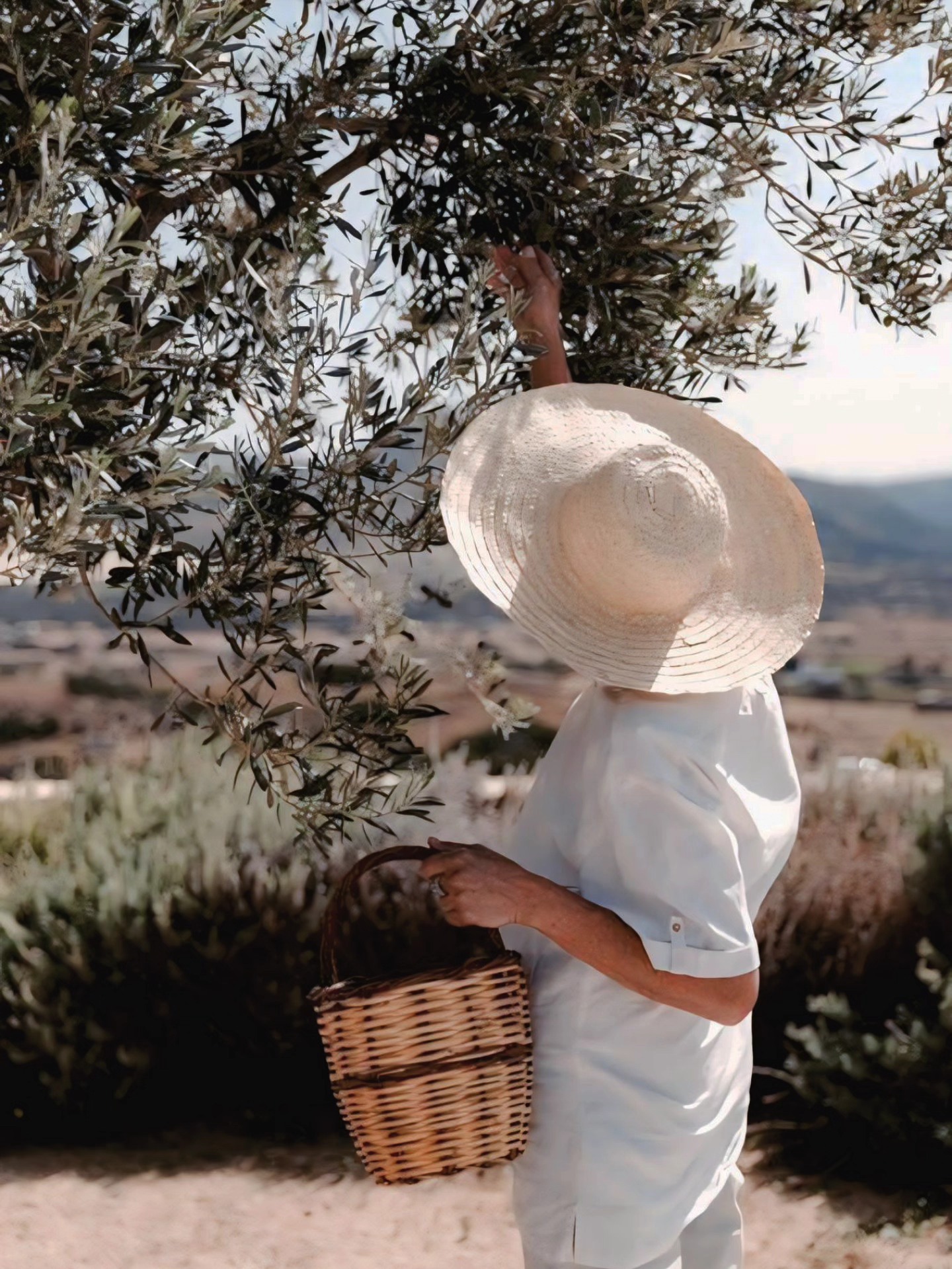 Des ingrédients bruts, sourcés localement, transformés avec exigence et respect.
Pour des soins qui ont du sens, une beauté ancrée, et un lien vivant avec la nature.