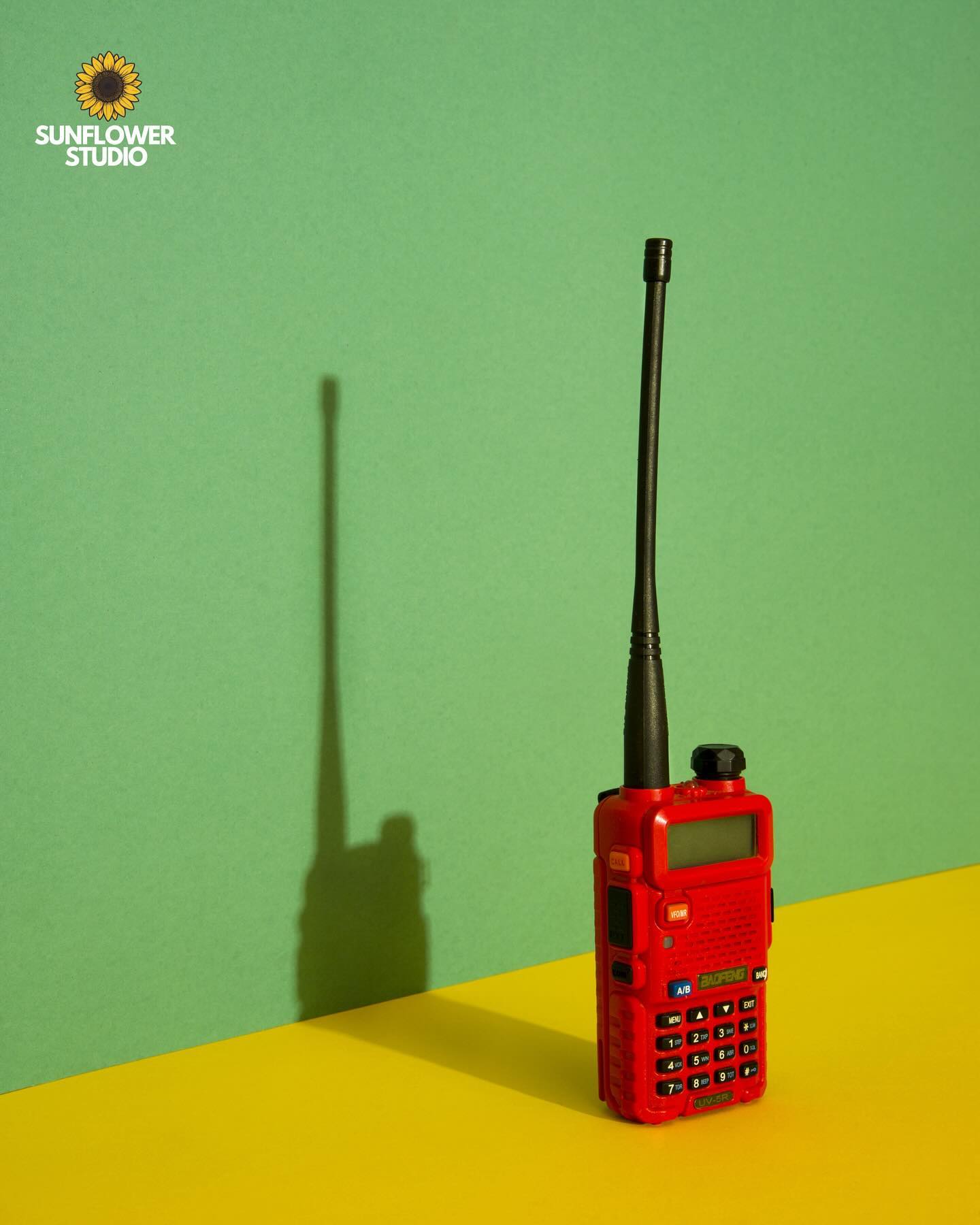 Happy World Photography Day.
Create your images at @sunflowerstudio_in
Coming soon to Pune.