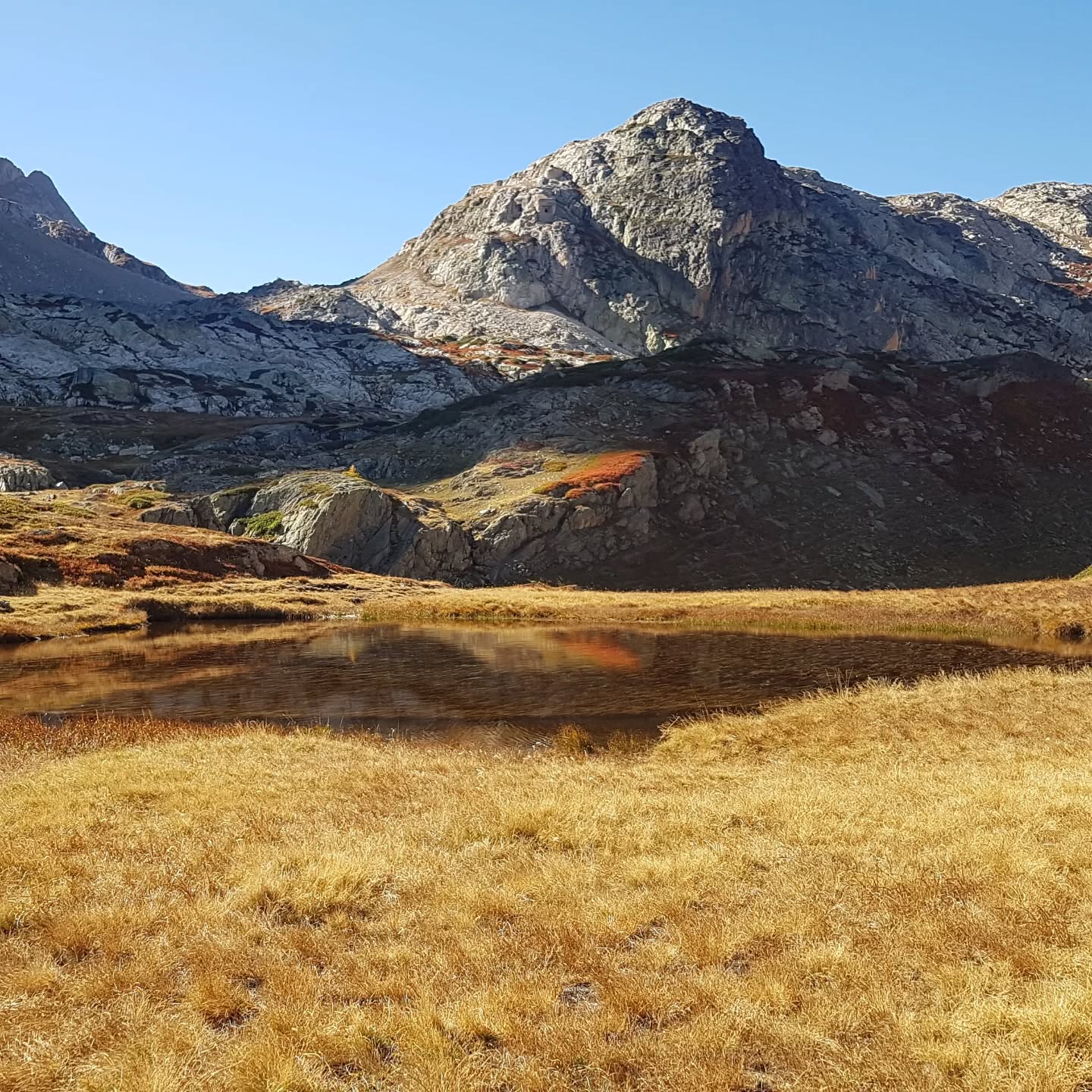 Tijd om los te laten en ruimte te maken voor wat écht bij je past. 🧡
Bij Passage helpen we je om dichter bij je authentieke zelf te komen. Dichter bij je unieke kern waarbij alles zonder moeite stroomt en bloeit én waardoor jij zelfzeker in je kracht staat. De herfst nodigt uit om los te laten wat niet meer bij je past, zodat je (opnieuw) plaats maakt voor wat echt bij jou hoort. 🍁
Onze Passagetochten geven je de ruimte om op adem te komen, nieuwe inzichten op te doen en stappen te zetten naar een leven dat écht bij jou past. 🏞️
🎈Wil je graag ontdekken wat deze reis voor jou kan brengen? Boek nu via de website www.passagetochten.fr een gratis kennismakingsgesprek en zet de eerste stap naar verandering.
Ik kijk er al naar uit.
Liefs,
Karlien 🍵
#loslaten #wandeling #passagetochten #stappen #kern #authentieke #zelf #groepsproces #inzichten #ademen #rust