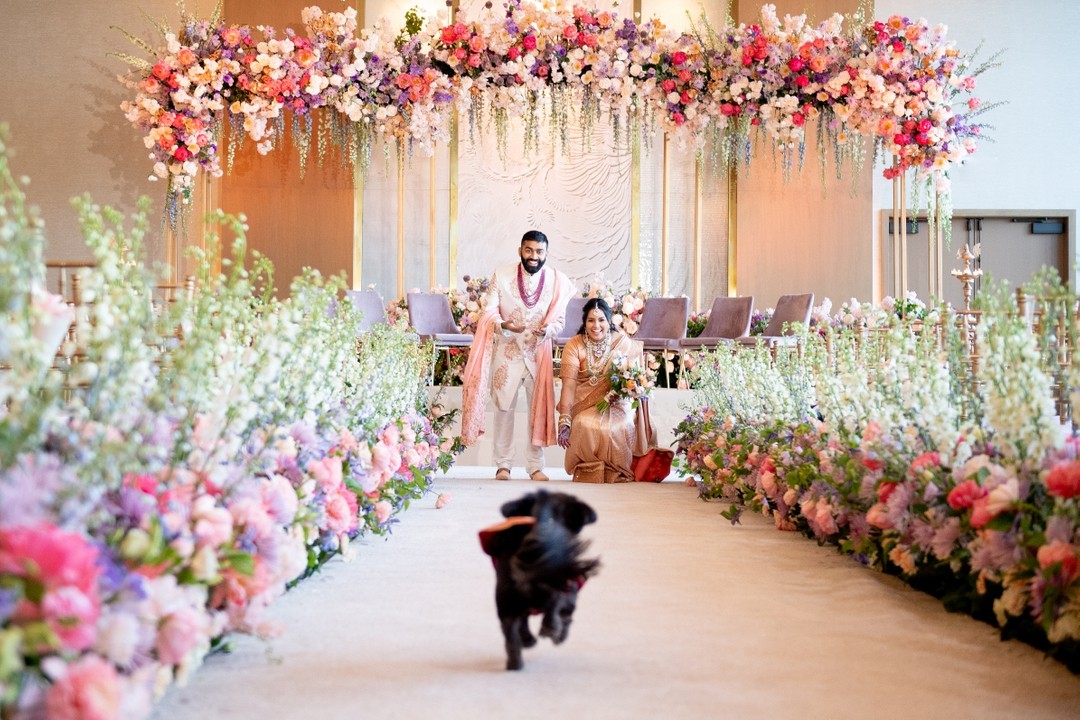The 2022 version of Hum Aapke Hain Kaun's Tuffy
#WeddingDecor: @elegant.affairs
#Photographer: @mariharsanstudios
#WeddingPlanner: @aceofevents
#Wedding: @intercontinentaldcwharf
#Reception: #theanthematthewharf
#DJ #Lighting: @dynasty_ave
#Dancerloor: @gotoshout
