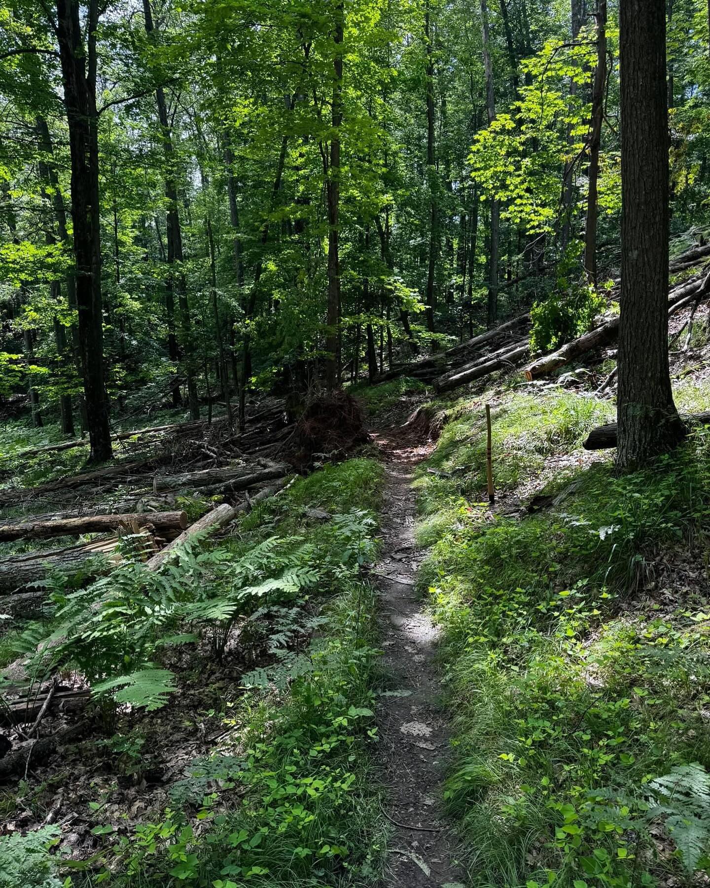Group Ride tonight @ Fumee Lake Natural Area West parking lot, see you at 6:00! Huge thank you to the DTN for clearing up all the downed trees to make the trails accessible after the big storms the last few weeks. #dickinsontrailnetwork #fumeelakenaturalarea