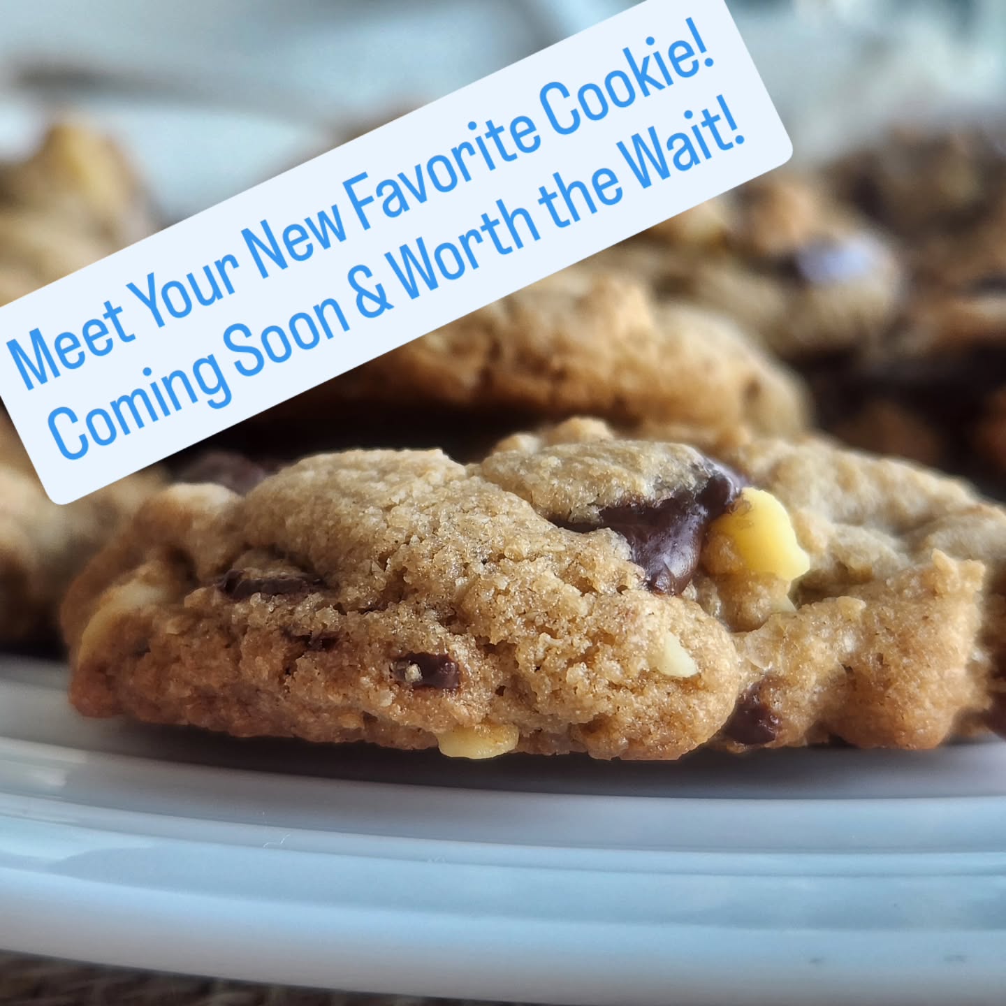 Nina's Gluten-Free Cookie Mix! Oat-Based & Truly Irresistible! Perfect with Chocolate Chips, Nuts, Raisins, or Your Favorite Mix-Ins! Coming Late Spring-Early Summer! #cookiemix #bostoneats #glutenfreebaking #northshoreeats #oatmeal