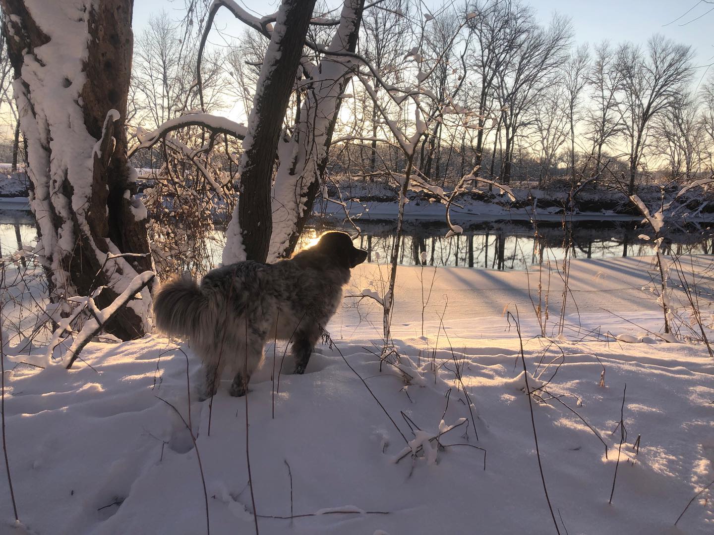 Hello New Paltz locals - we are starting a CSA this season for our neighbors and would love to see you there! Message me for details or check out our website for more information.
It’s still snowy and freezing out but spring is coming! 😃🌷🌱