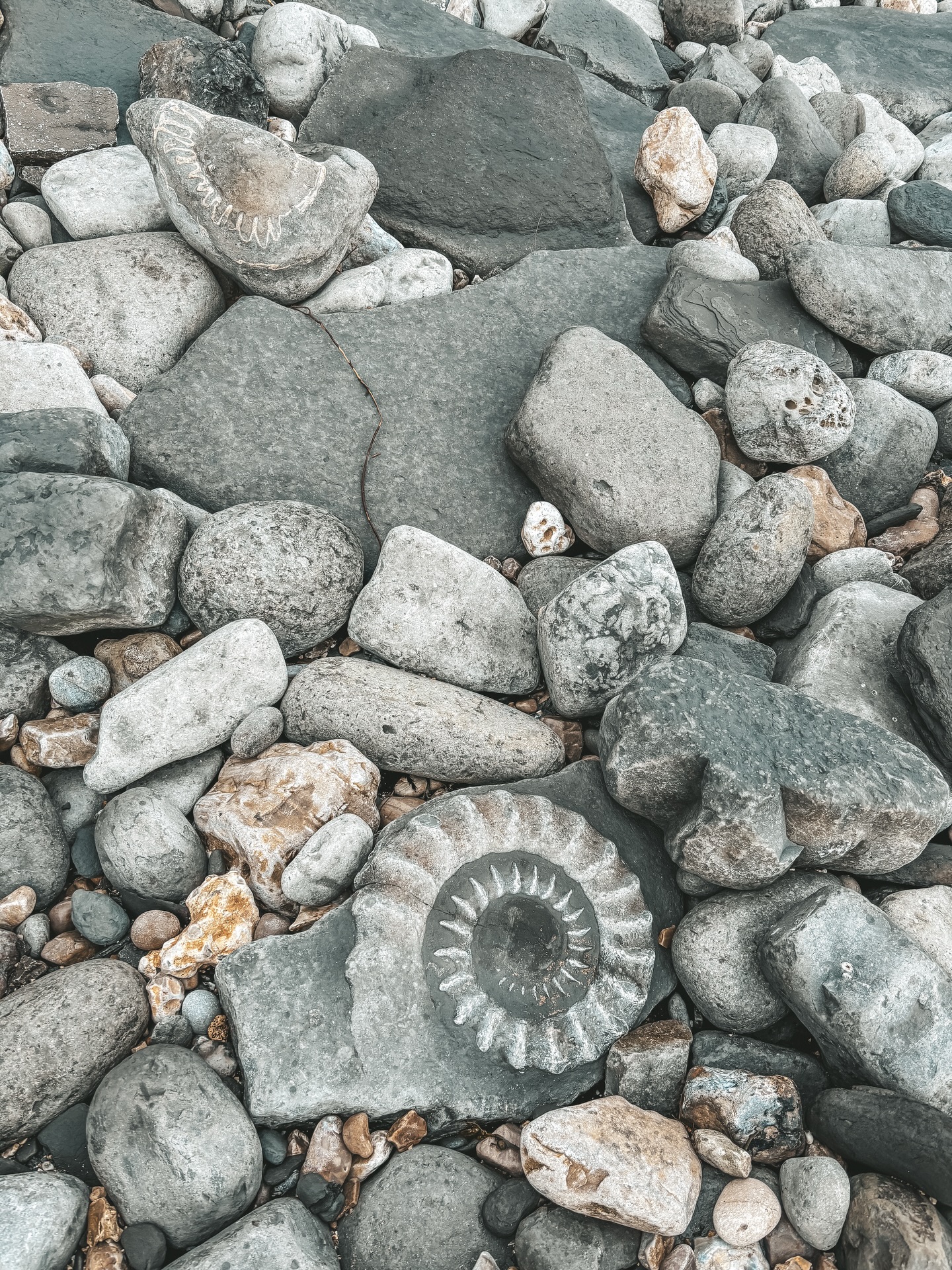 We have landed from my birthday trip to the Jurassic coast and I’m in awe of the landscape and energy of the place. We spent the whole time with the rocks and fossils, excited to find pieces that were over 400 million years old, its amazing to sit amongst the clay and landslides to jus witness the layers and ages of the earth beneath your feet and under your fingers nails.
Also loved taking the flask of tea and having the last of my homemade cake from @vicksbelle it made it to the coast! 😂 thank you darling!
Absolutely amazing and already prepping to go back with a full tool belt! Grateful to pause and set the intention of travelling to new places every month, a new year of spaciousness and nature. ⛰️🌊🐚
#jurassiccoast #lymeregis #ammonite #naturelovers #slowliving