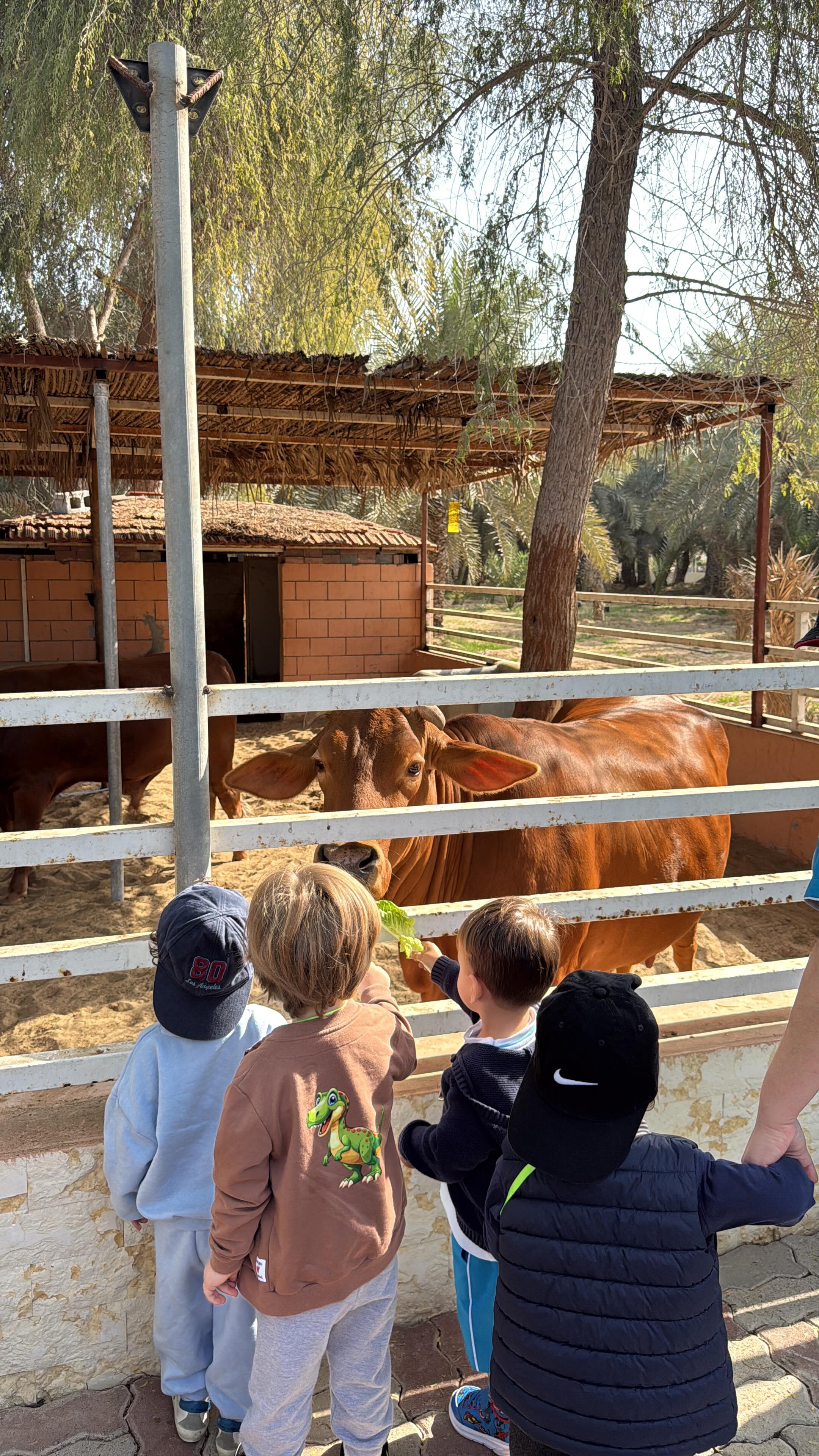 🇫🇷
Nos TPS sont partis à la ferme aujourd’hui 🐮🌾
Ils ont découvert les animaux, la nature et vécu une super expérience en plein air.
Des étoiles plein les yeux et de beaux souvenirs pour nos tout-petits ✨
🇬🇧
Our TPS class went to the farm today 🐮🌾
They discovered animals, nature and enjoyed a lovely outdoor experience.
So many smiles and beautiful memories for our little ones ✨
#crèches #frenchnurserydubai #kindergartendubai #maternelle #nursery