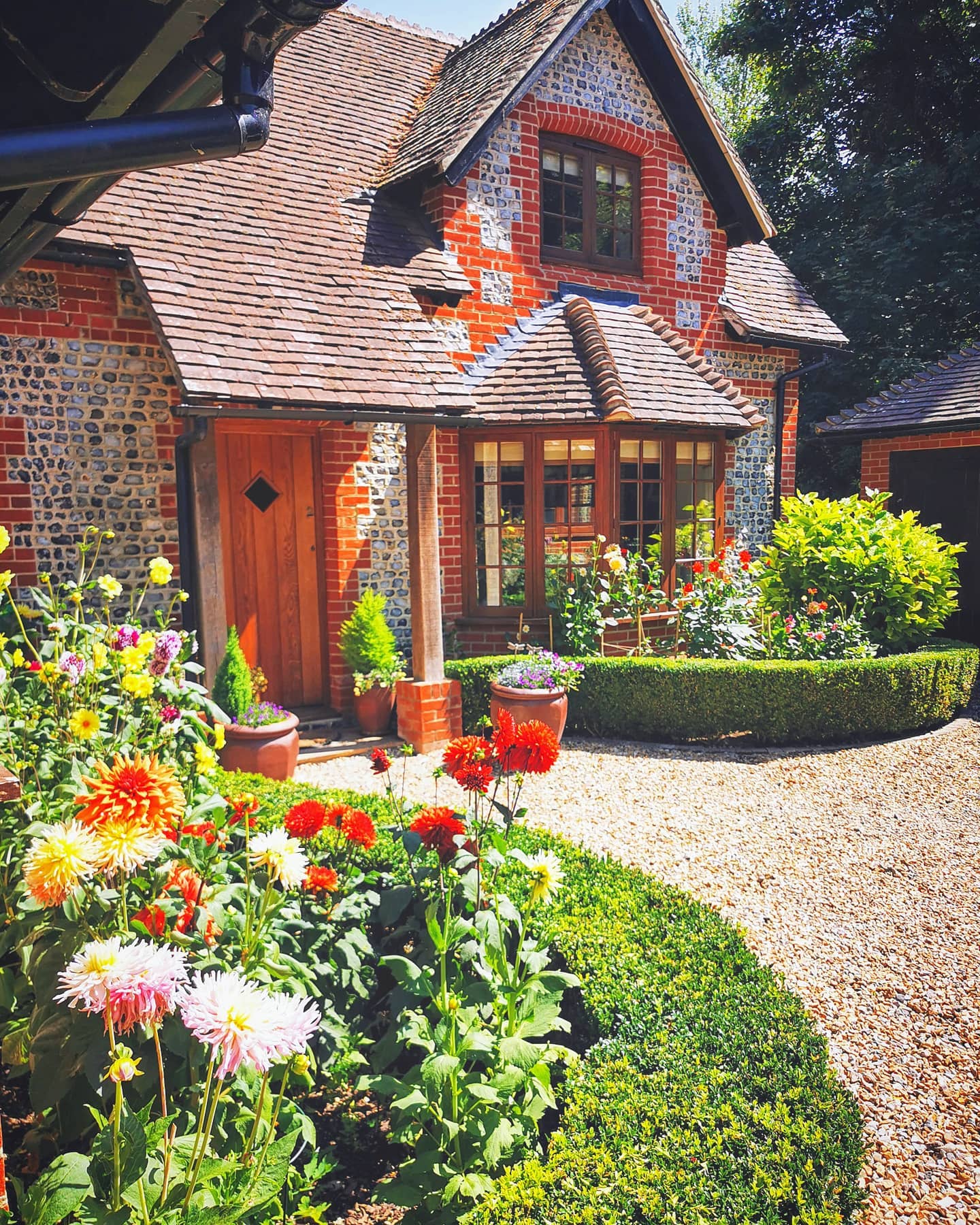The Dahlias tubers we planted in the spring are finally starting to fill out. When you come up the drive to this property you are hit by a wall of colour growing up from behind the Box Hedging which will only get better year after year.
#bloomsford #gardening #gardener #gardenphotography #gardenlife #gardens #dahlia #dahlias #outdoors #outdoorsman #gardenersofinstagram #gardenersworld #boxhedge #colour