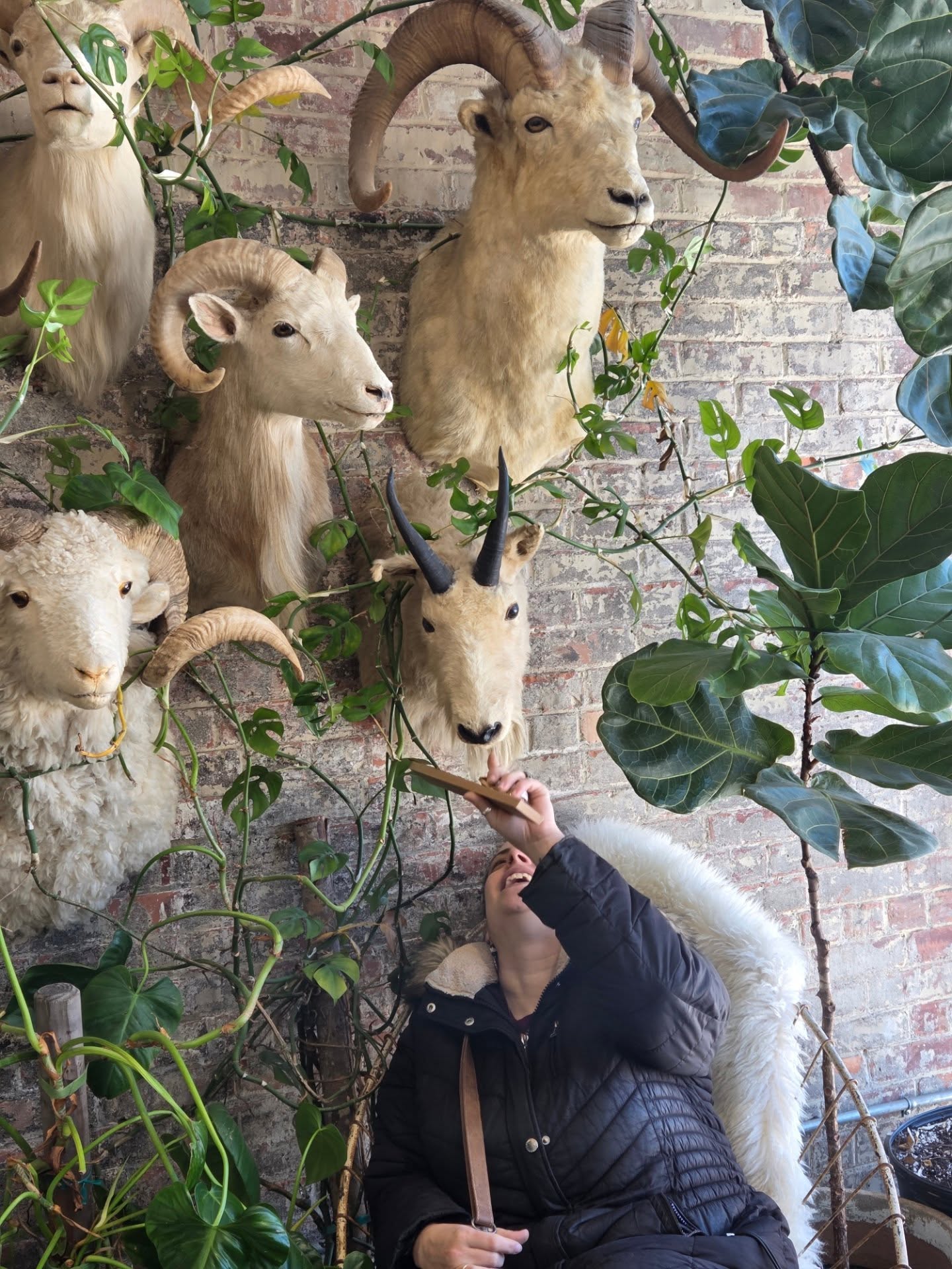 I stepped away for a moment this week to let myself just be.
No fixing. No pushing. Just breathing in a space that reminded me what balance feels like.
This season has been heavy. I’ve been moving through chronic illness quietly, showing up where I can, holding space for my family, my shop, and my community—most times to a shop that is a little too still, empty. It can be hard to keep pouring when the days feel long and the weight of keeping the doors open keeps rising.
And still—I am grateful. Truly.
This shop has always been about more than things. It’s about care, access, and creating a place where local makers and neighbors feel held. I’ve chosen intention over inflation, community over convenience, and heart over ease—because that’s who I am.
I didn’t fully reset this week. I’m still tender. Still human. But I’m here, and I’m showing up again.
The shop will be open tomorrow, and I’ll be live tomorrow night. http://whatnot.com/s/vQZLo8qV
With hope, with honesty, and with space for whatever comes. 🤍
Thank you for being part of this story.
🔥🔥🔥ALWAYS CHECK GOOGLE TO ENSURE WE ARE OPEN DAILY. WE UPDATE LIVE THERE DAILY!